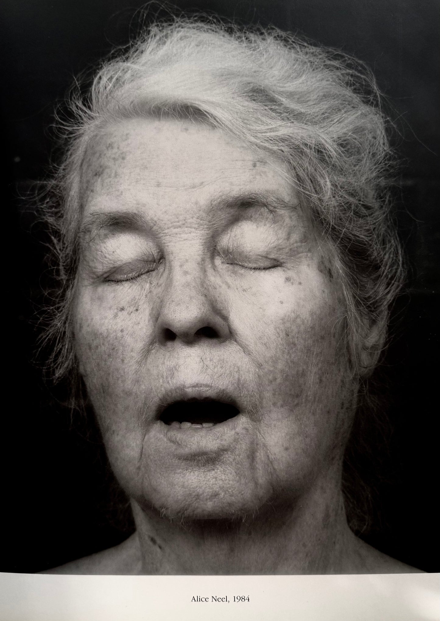 ROBERT MAPPLETHORPE