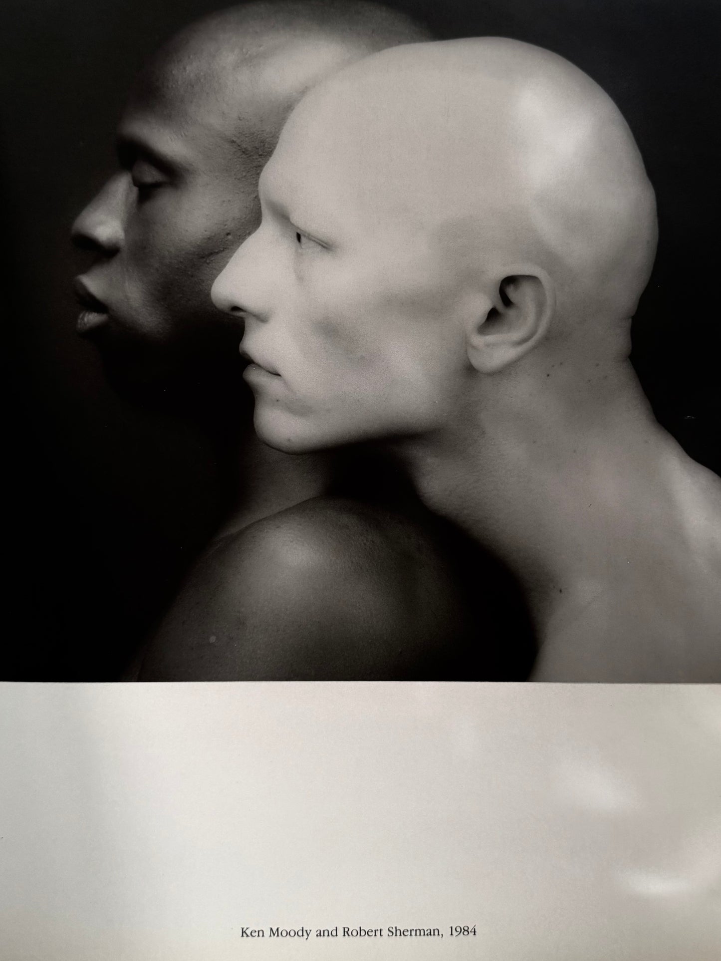 ROBERT MAPPLETHORPE