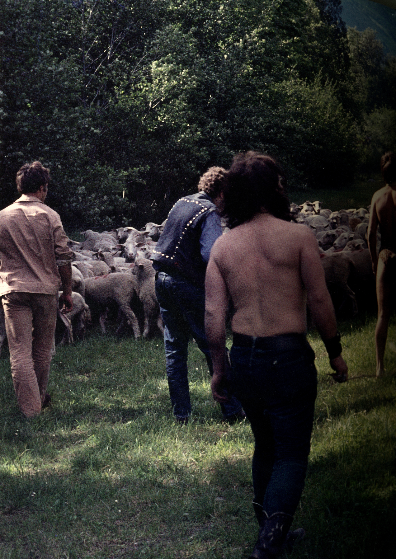SWISS REBELS