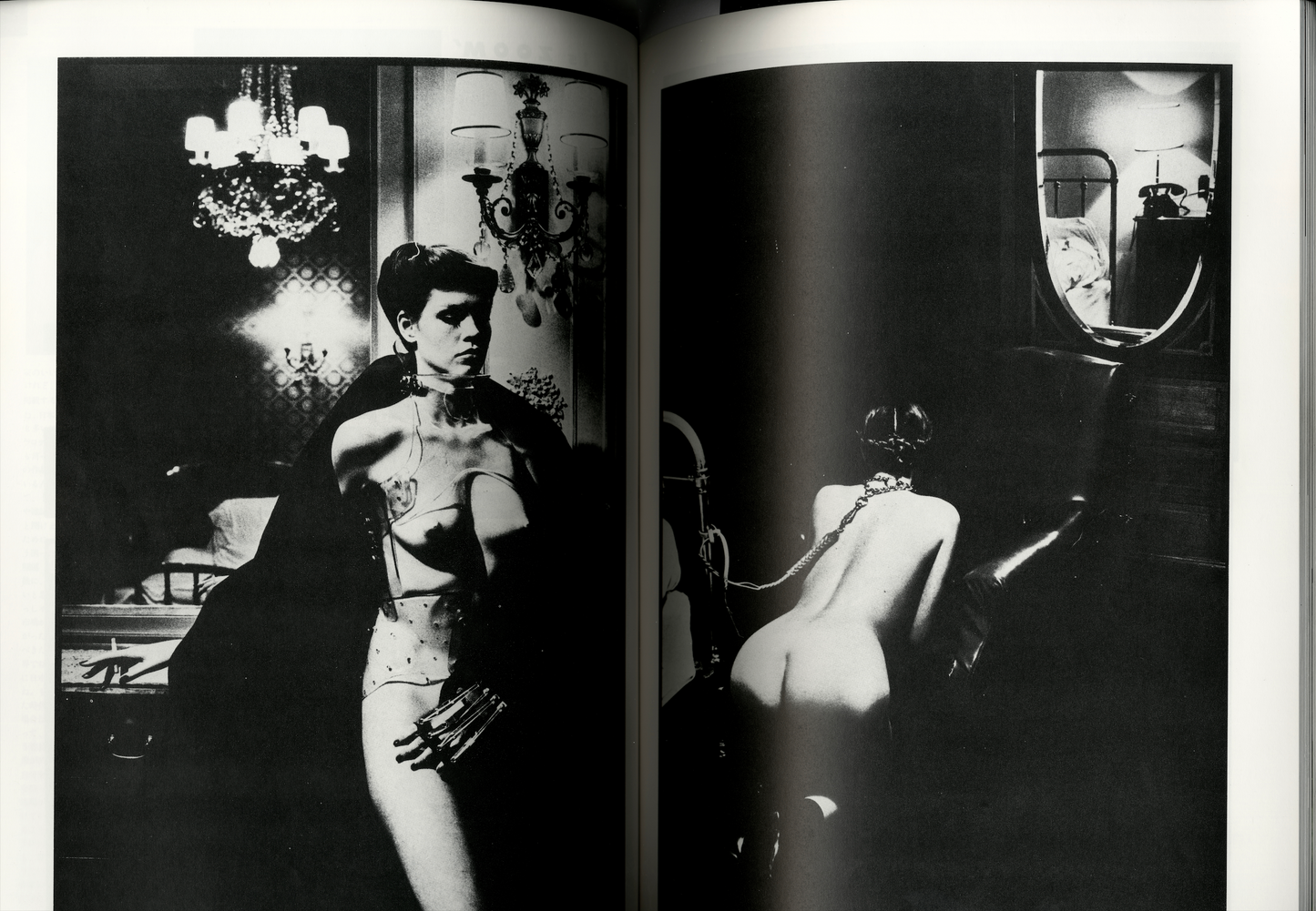VOL. 2 1985