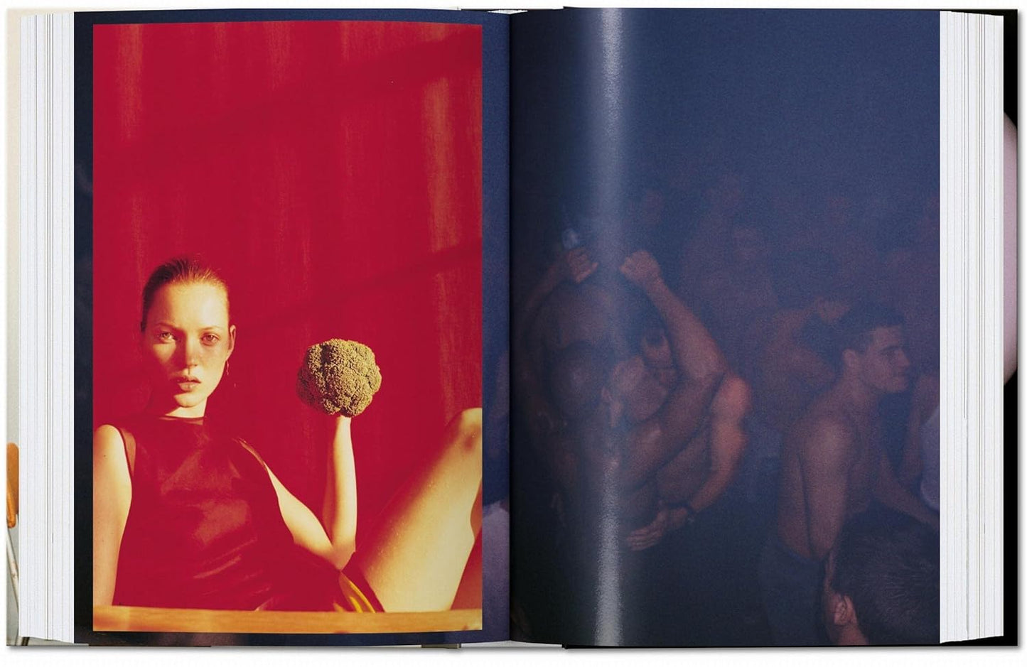 WOLFGANG TILLMANS