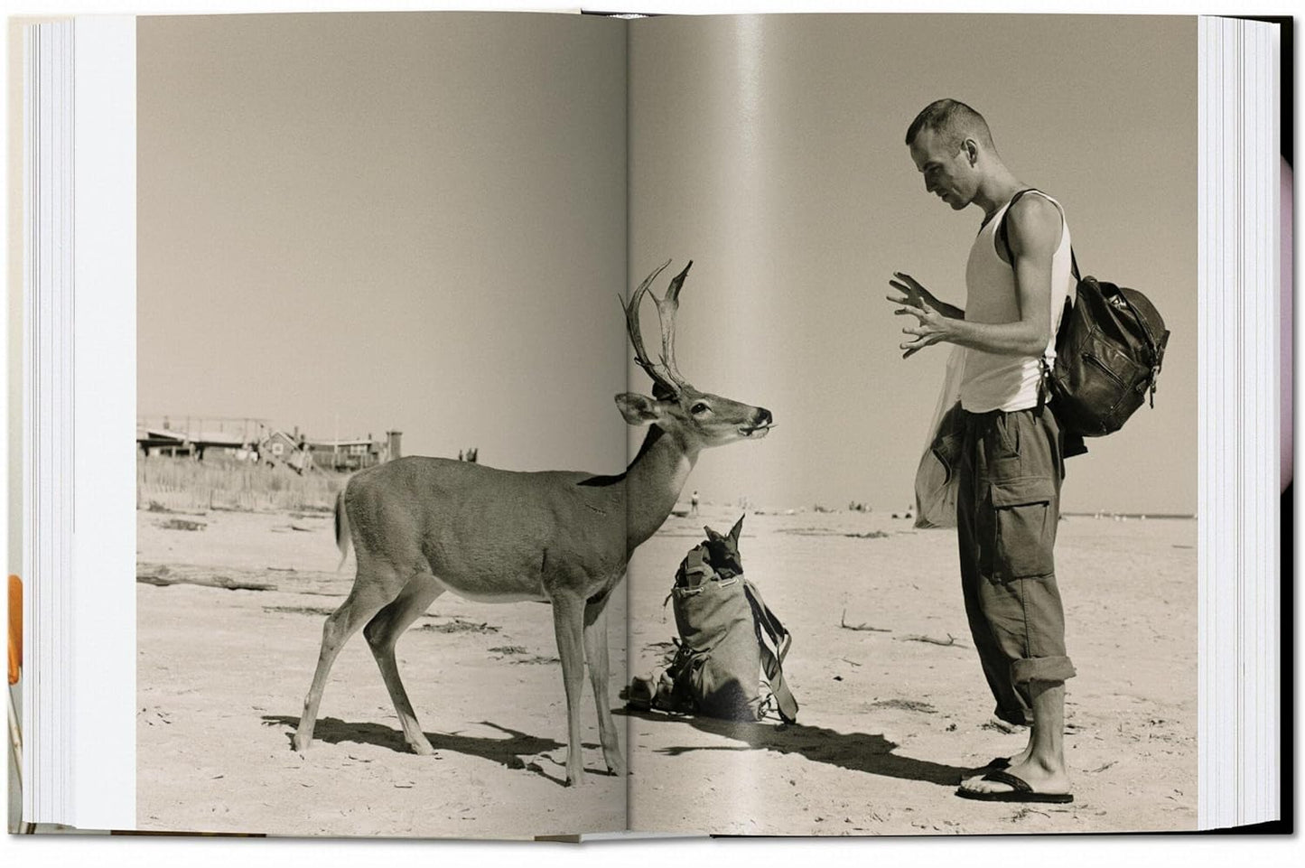 WOLFGANG TILLMANS