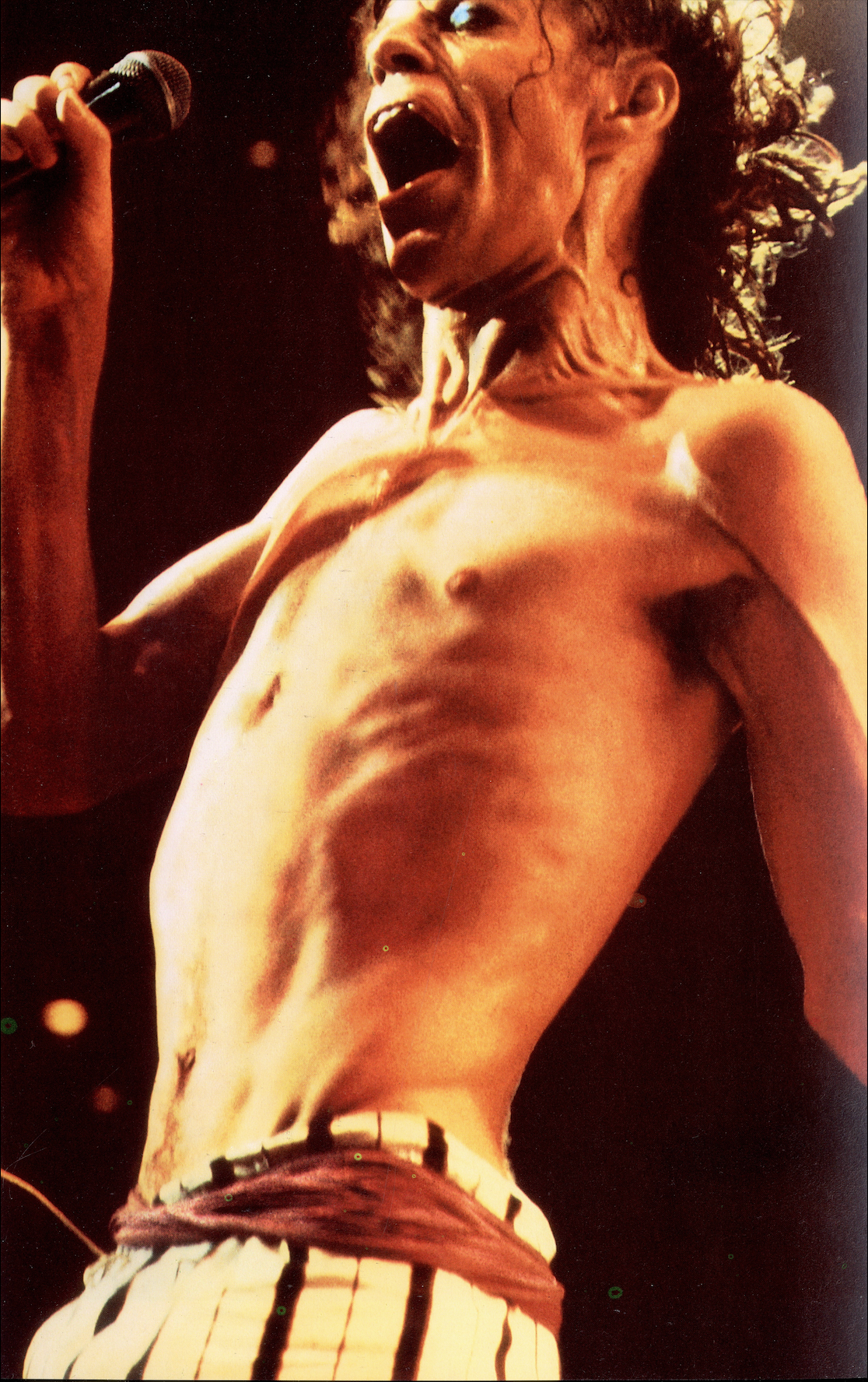 Annie Leibovitz Photographs 1970 1990 interior page 4.