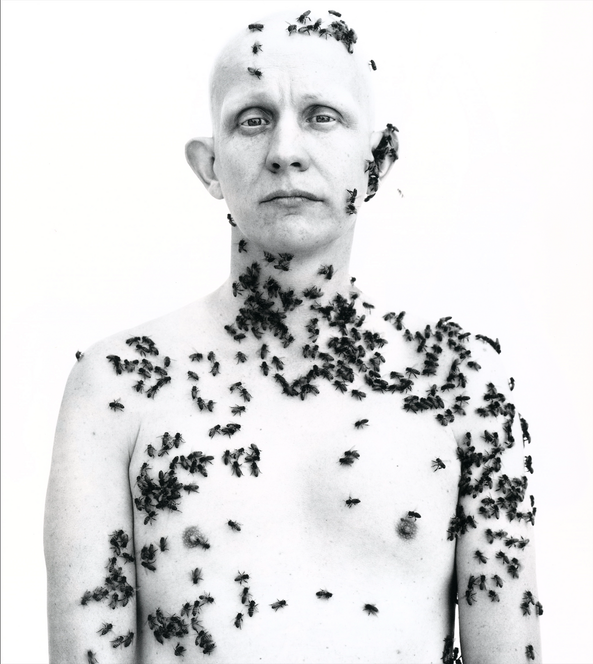 Richard Avedon In the American West interior beekeeper bees on body iconic portrait white background interior 6 intermission books.