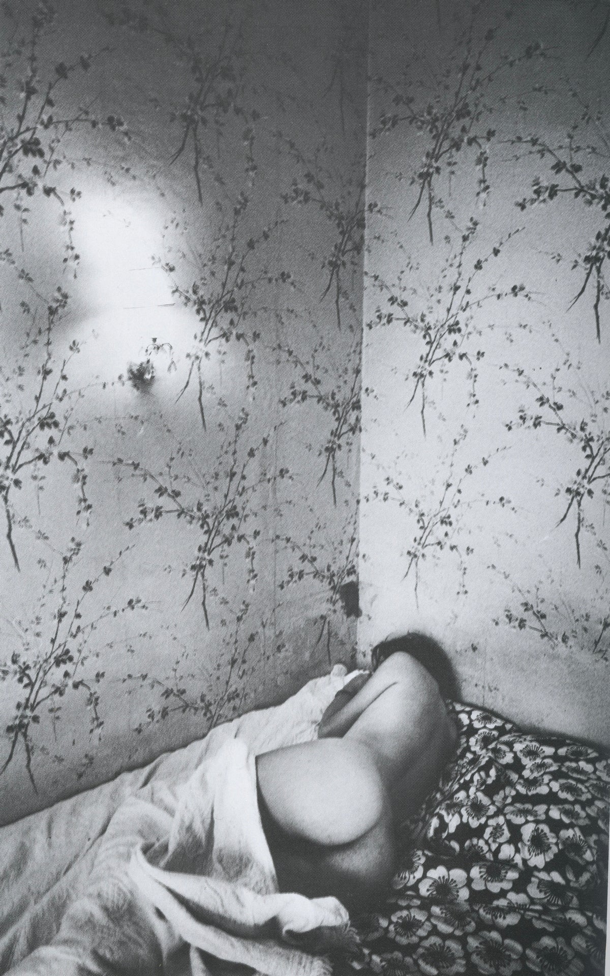The Best Nudes 5 Jeanloup Sieff interior reclining nude patterned wallpaper black and white fine art interior 4 intermission books.