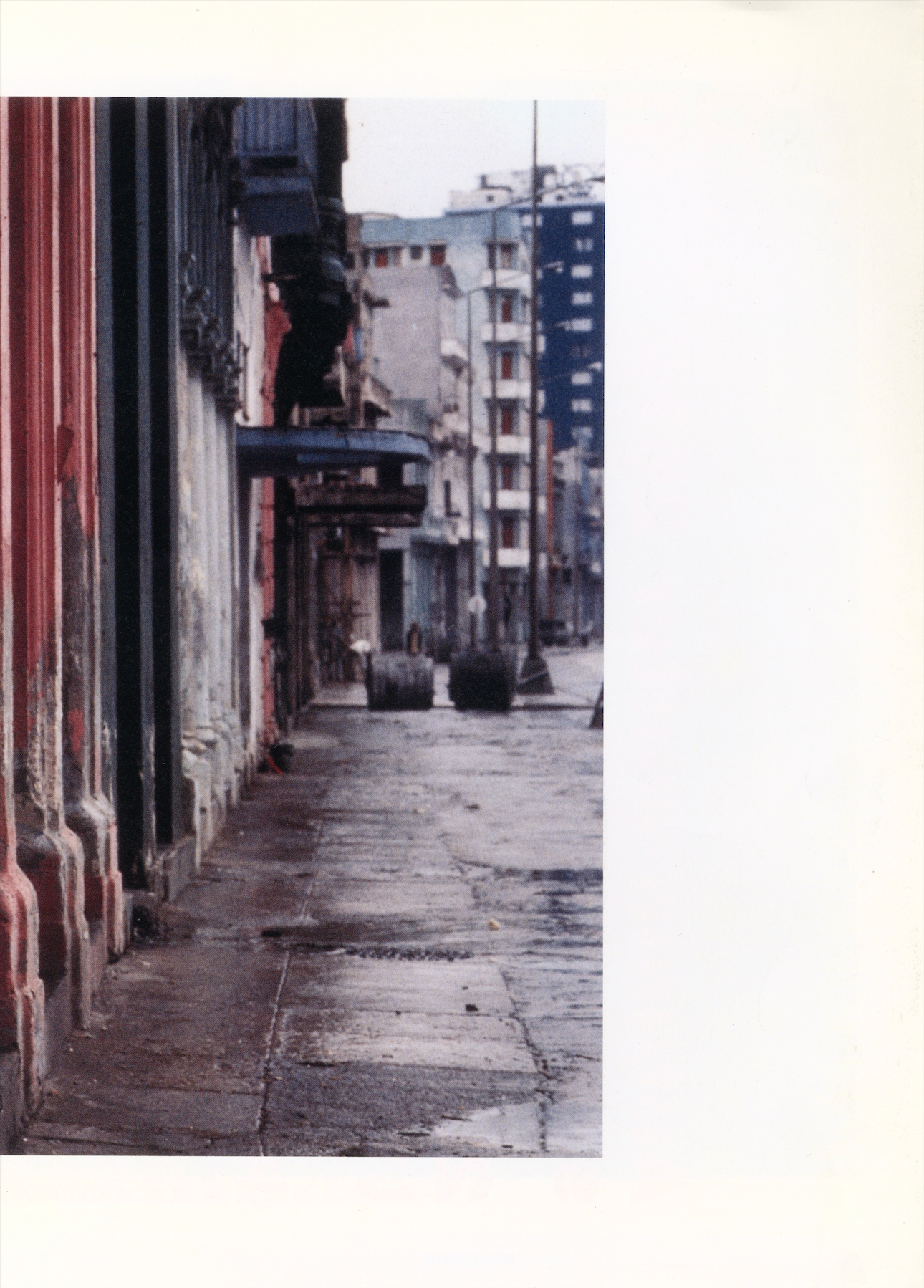 COMME DES GARÇONS 2012 SS DM — RENÉ BURRI 41