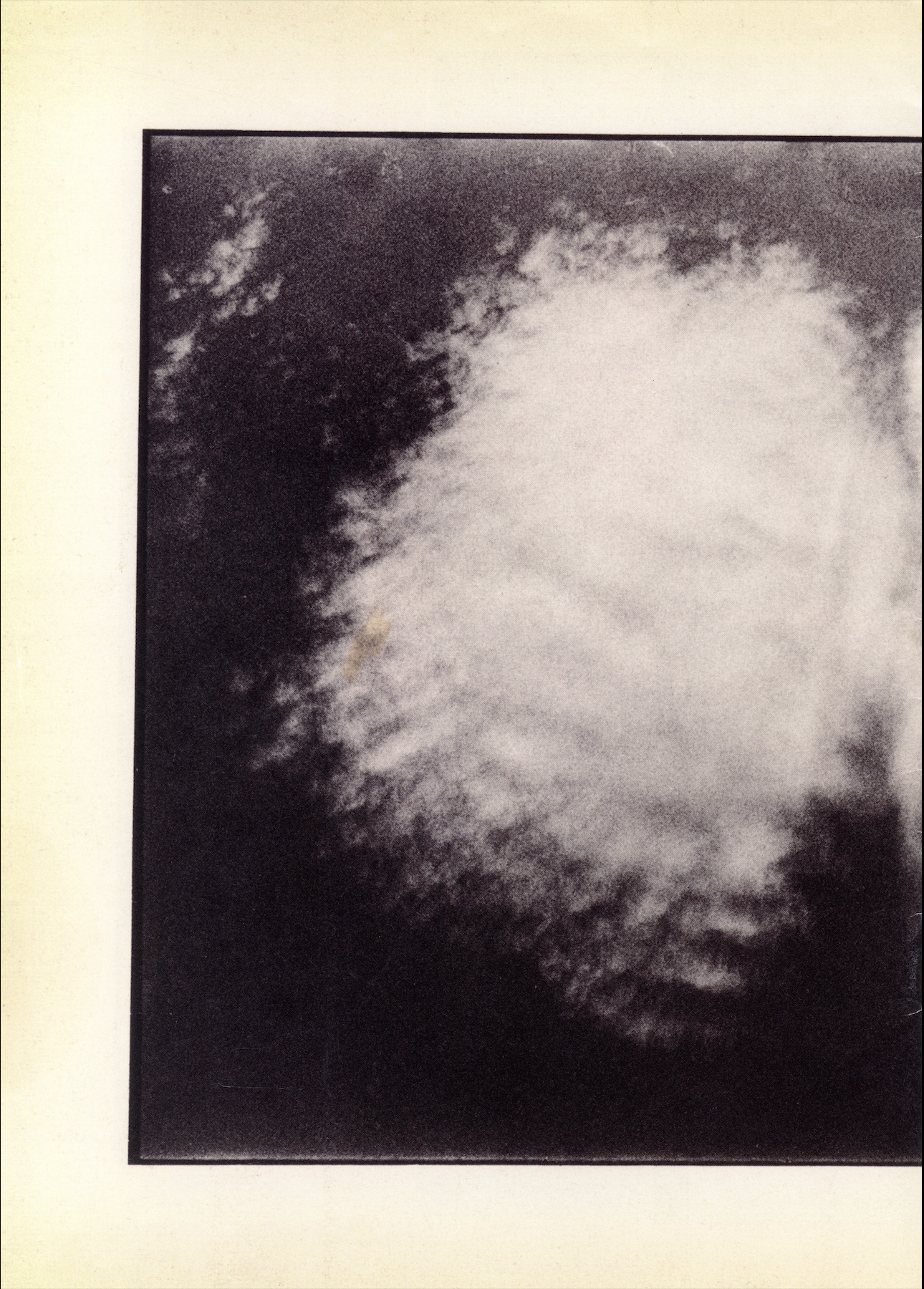 COMME DES GARÇONS 2012 SS DM — RENÉ BURRI 12