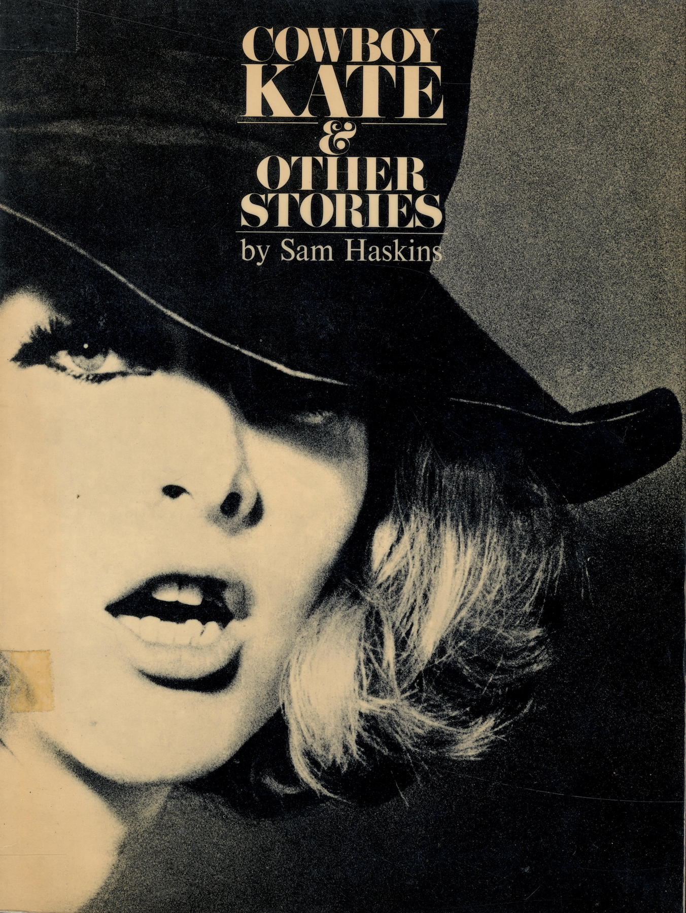 Cowboy Kate and Other Stories Sam Haskins book cover.