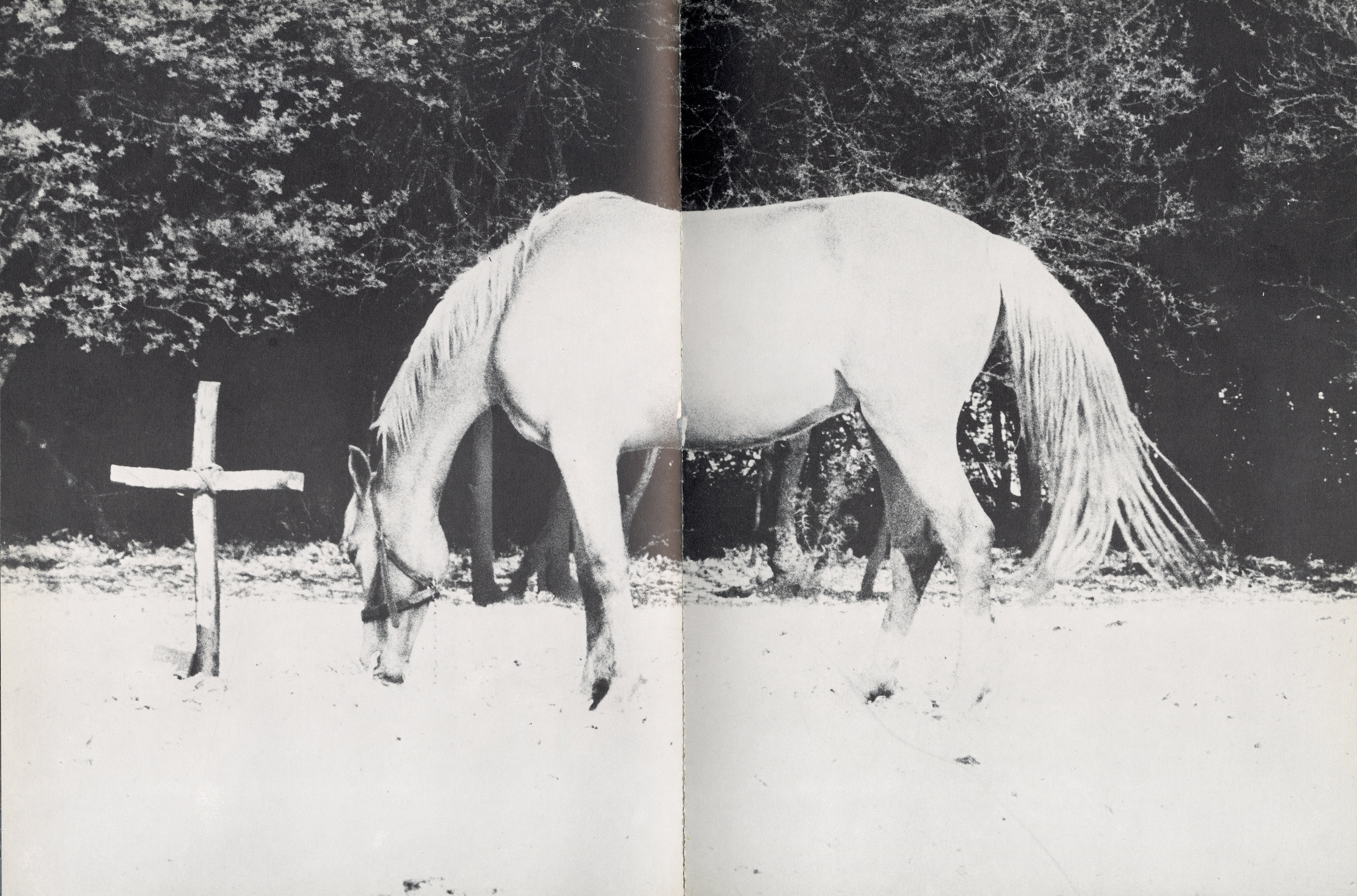Sam Haskins Cowboy Kate photobook vintage photography.