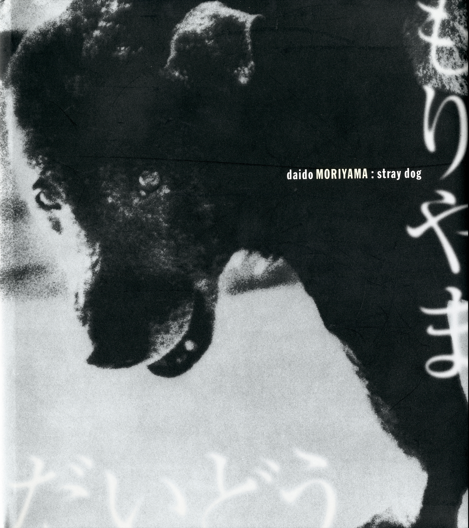 STRAY DOG STRAY DOG