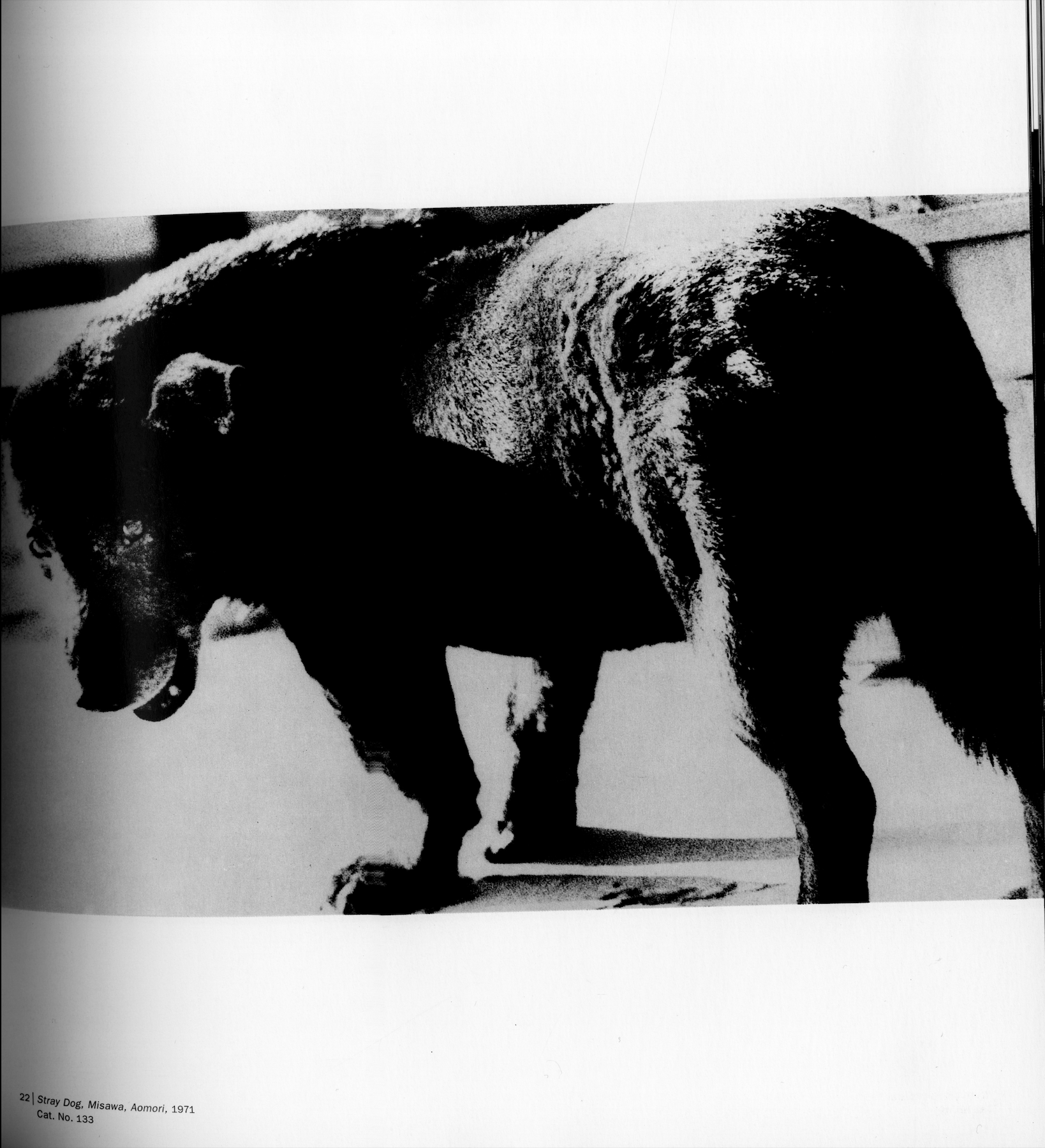 daido-moriyama-stray-dog-book- daido-moriyama-stray-dog-book-