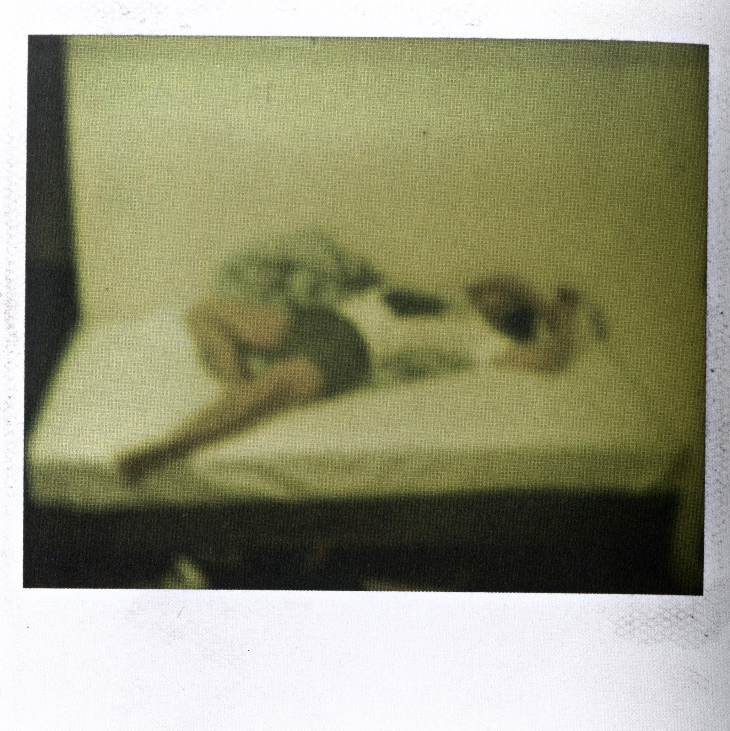 Dash Snow I Love You Stupid interior Polaroid green tone figure bed raw documentary interior 3 intermission books
