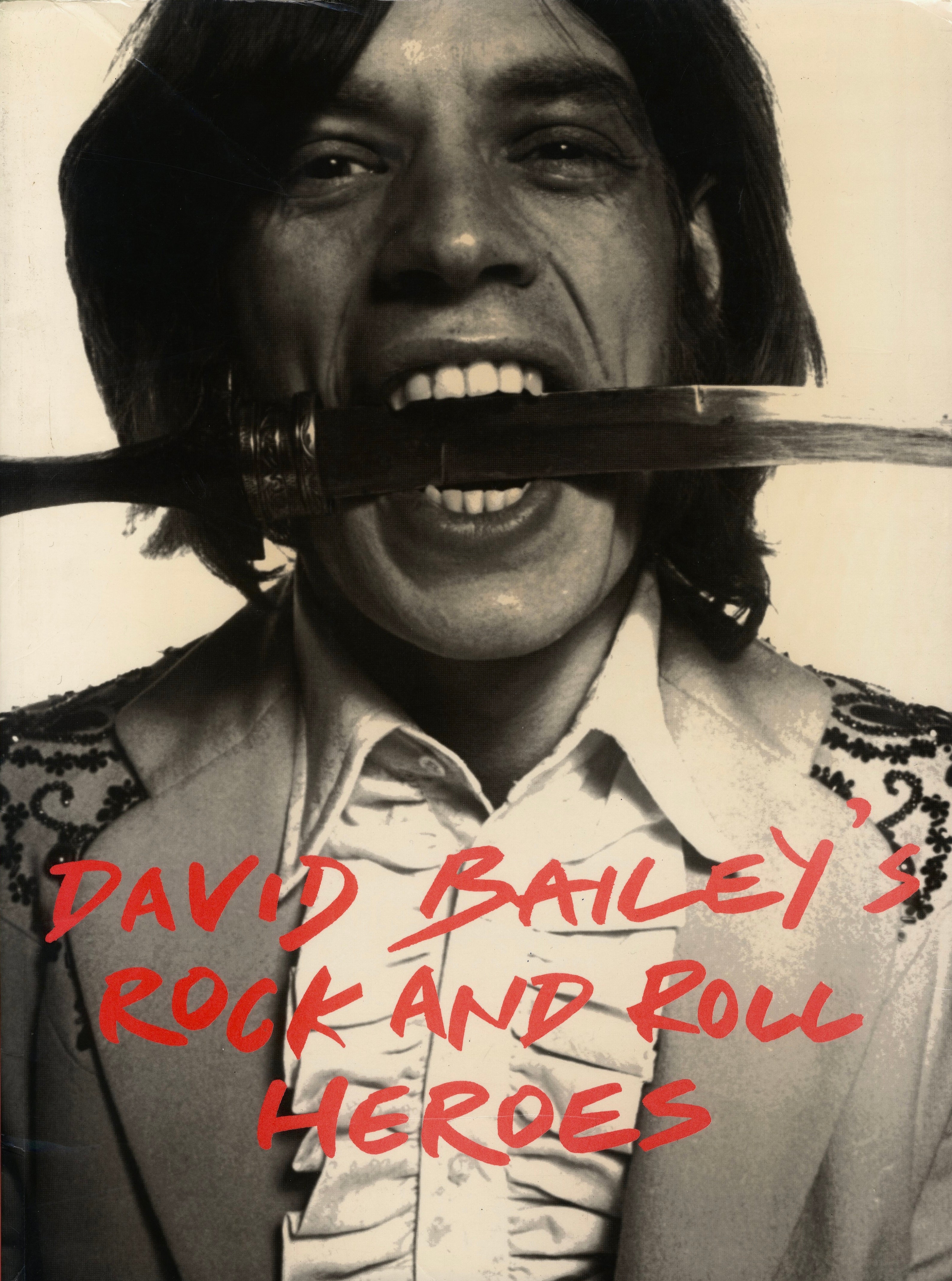 Front cover of David Bailey’s Rock and Roll Heroes large softcover edition.