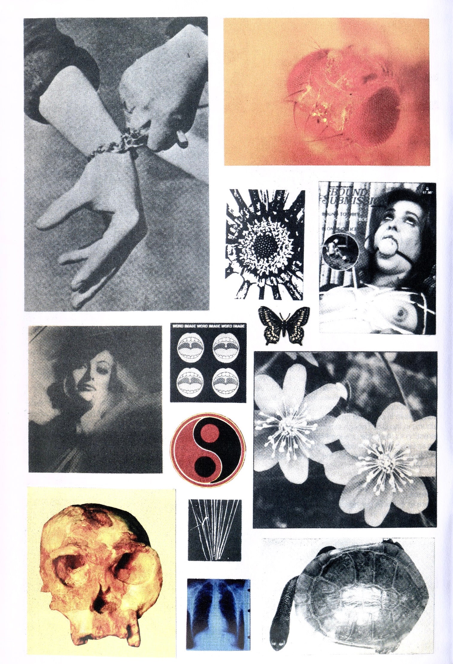 Interior artwork combining cut-and-paste collage from Weirdo Dave’s DREAMGIRLS zine.