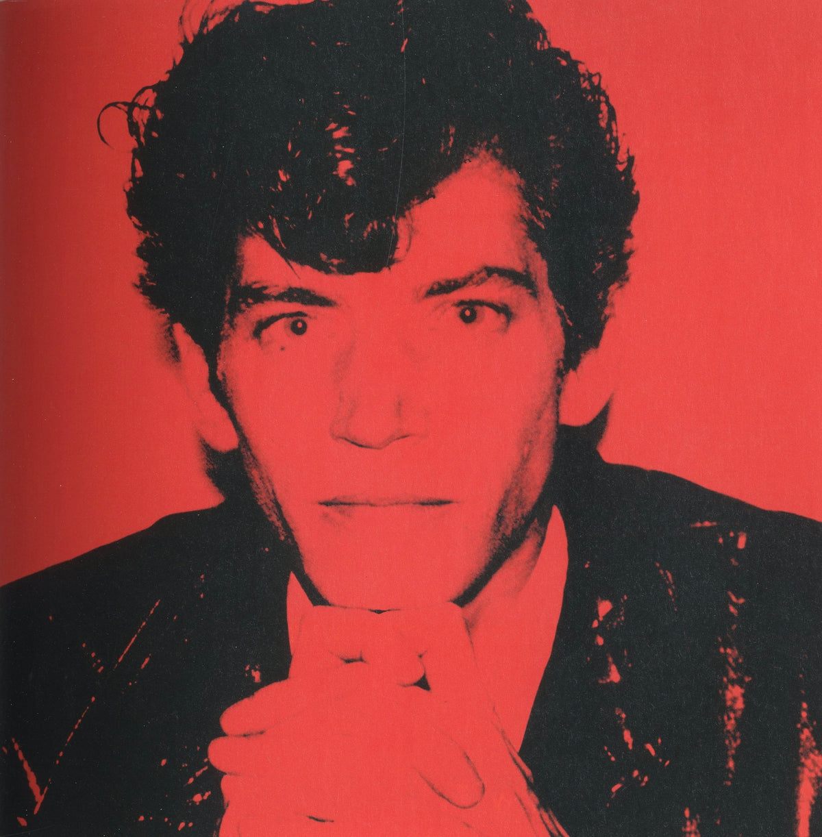 Warhol Mapplethorpe Guise and Dolls interior Warhol silkscreen portrait red androgyny interior 3 intermission books.