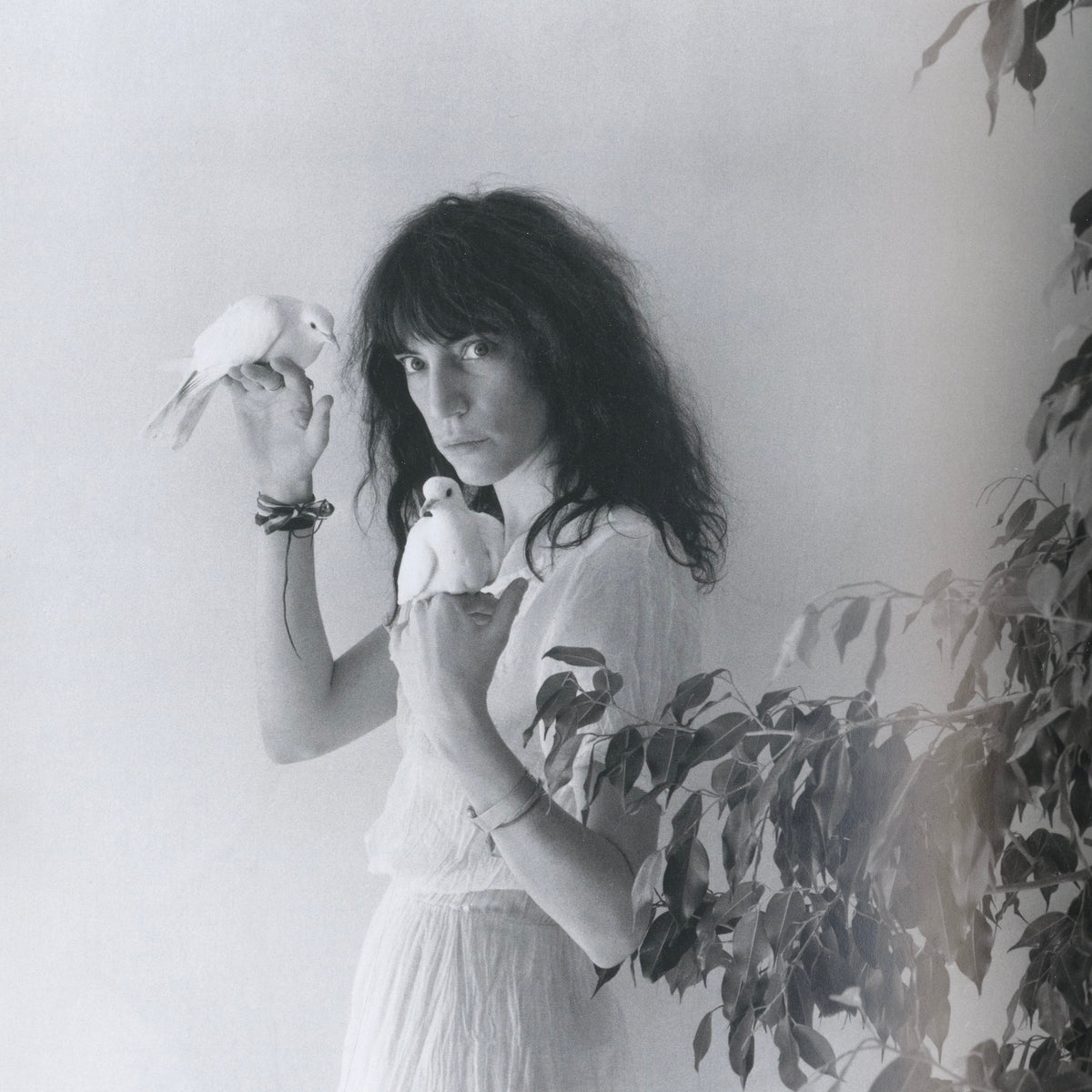 Warhol Mapplethorpe Guise and Dolls interior Patti Smith flowers Mapplethorpe portrait black and white interior 6 intermission books.