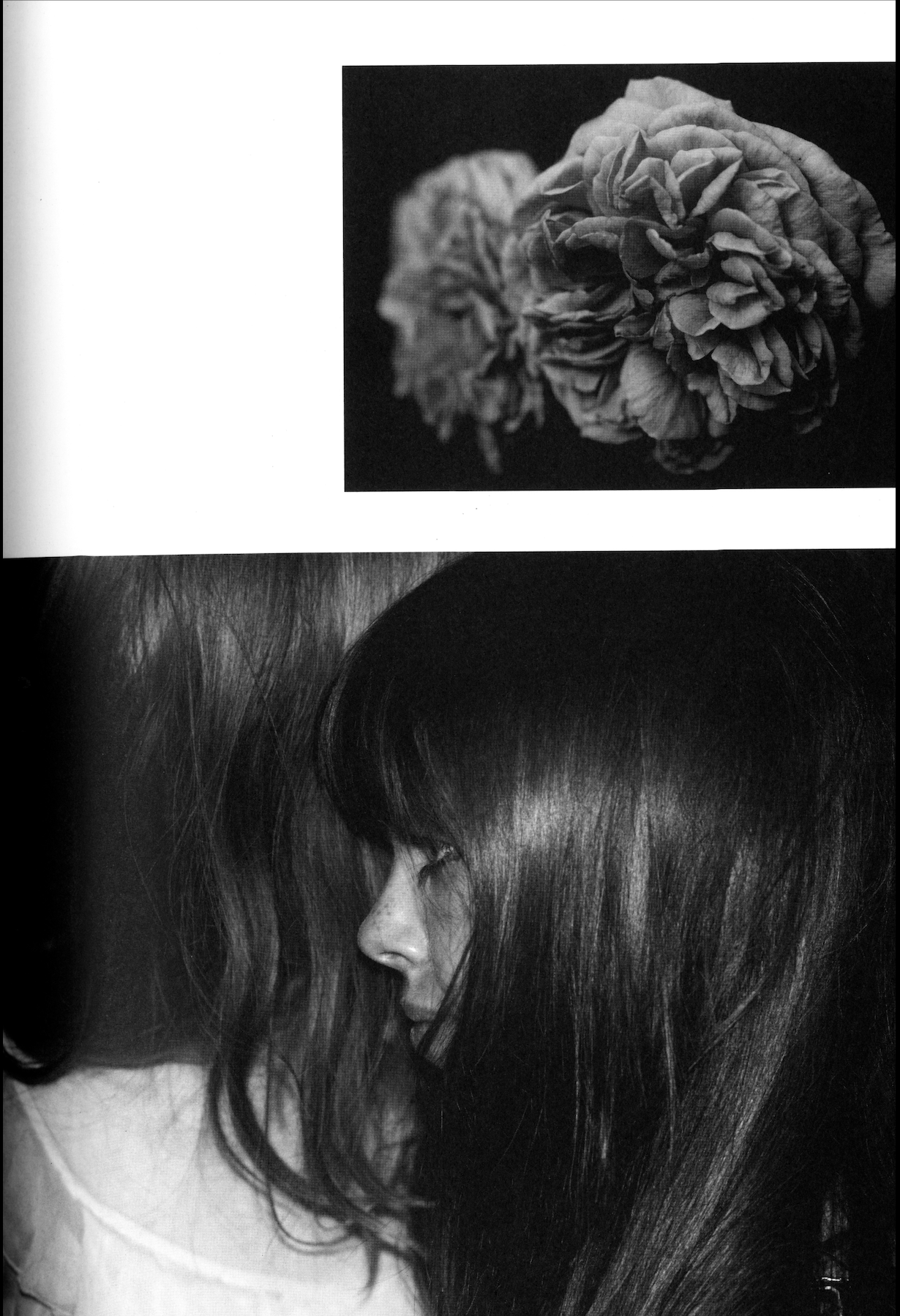 DAZED AND CONFUSED JAPAN - ISSUE #62 2007