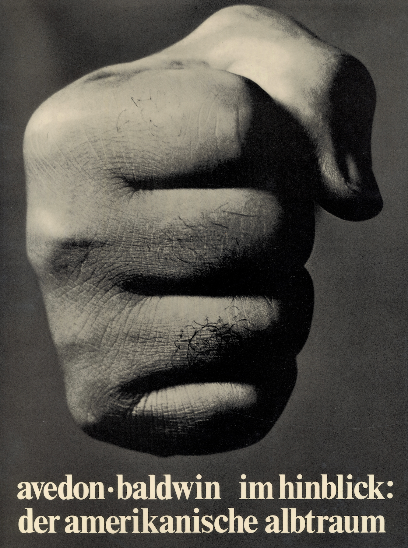 Book cover Im Hinblick Richard Avedon Nothing Personal German edition.