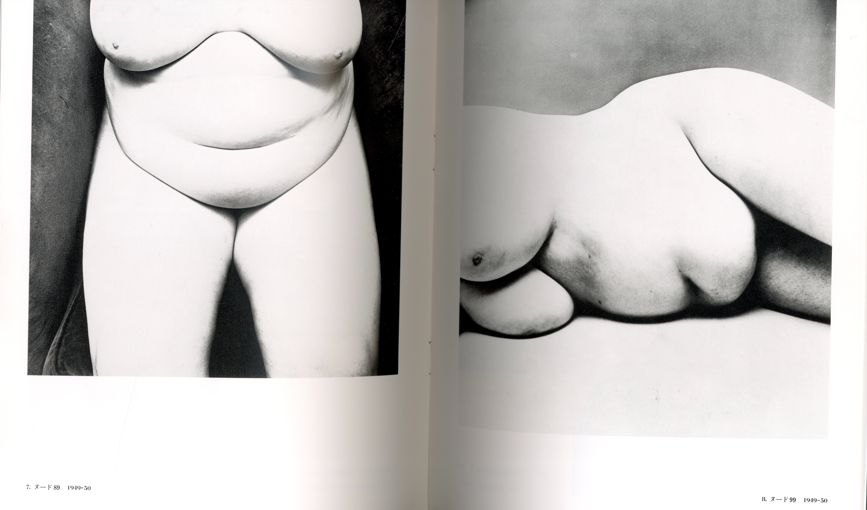 Irving Penn fashion photography book interior.