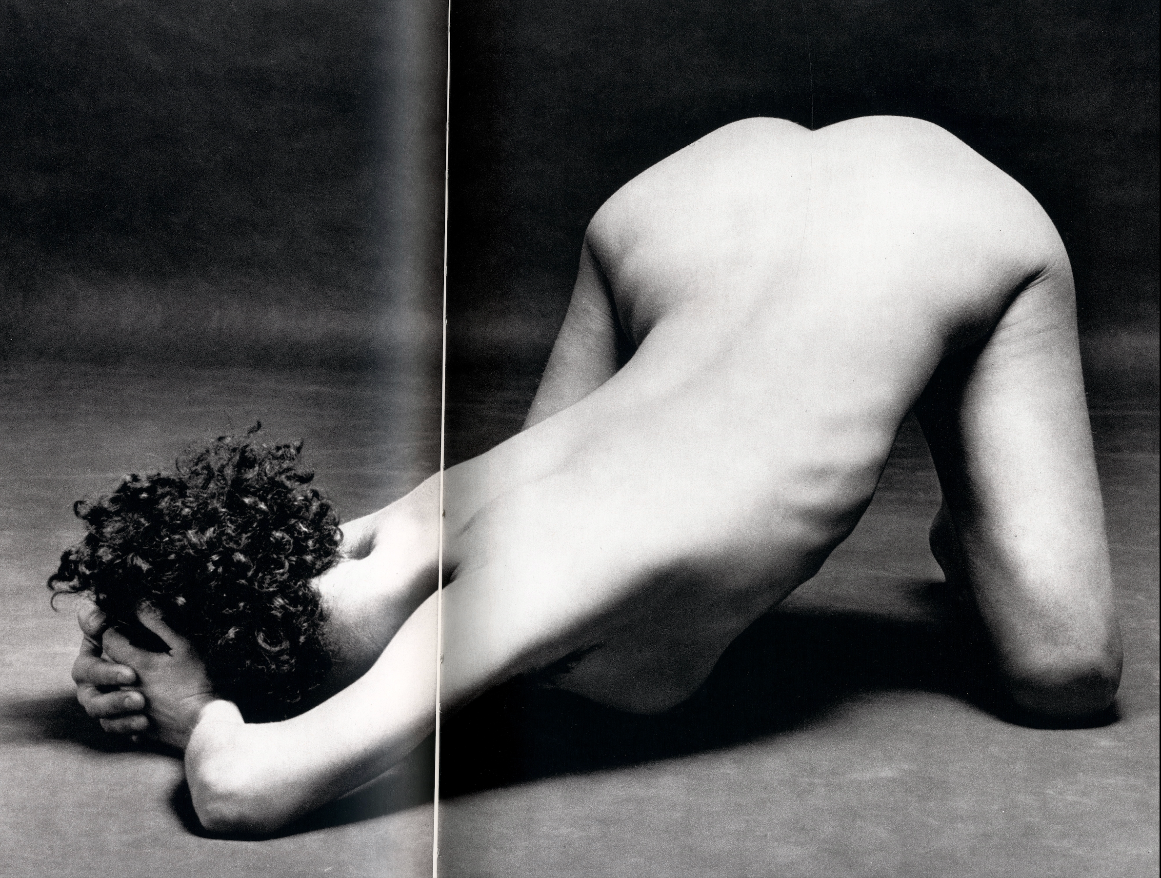 Portraits Nus Jean-Francois Bauret interior nude figure back study formal composition black and white interior 2 intermission books.