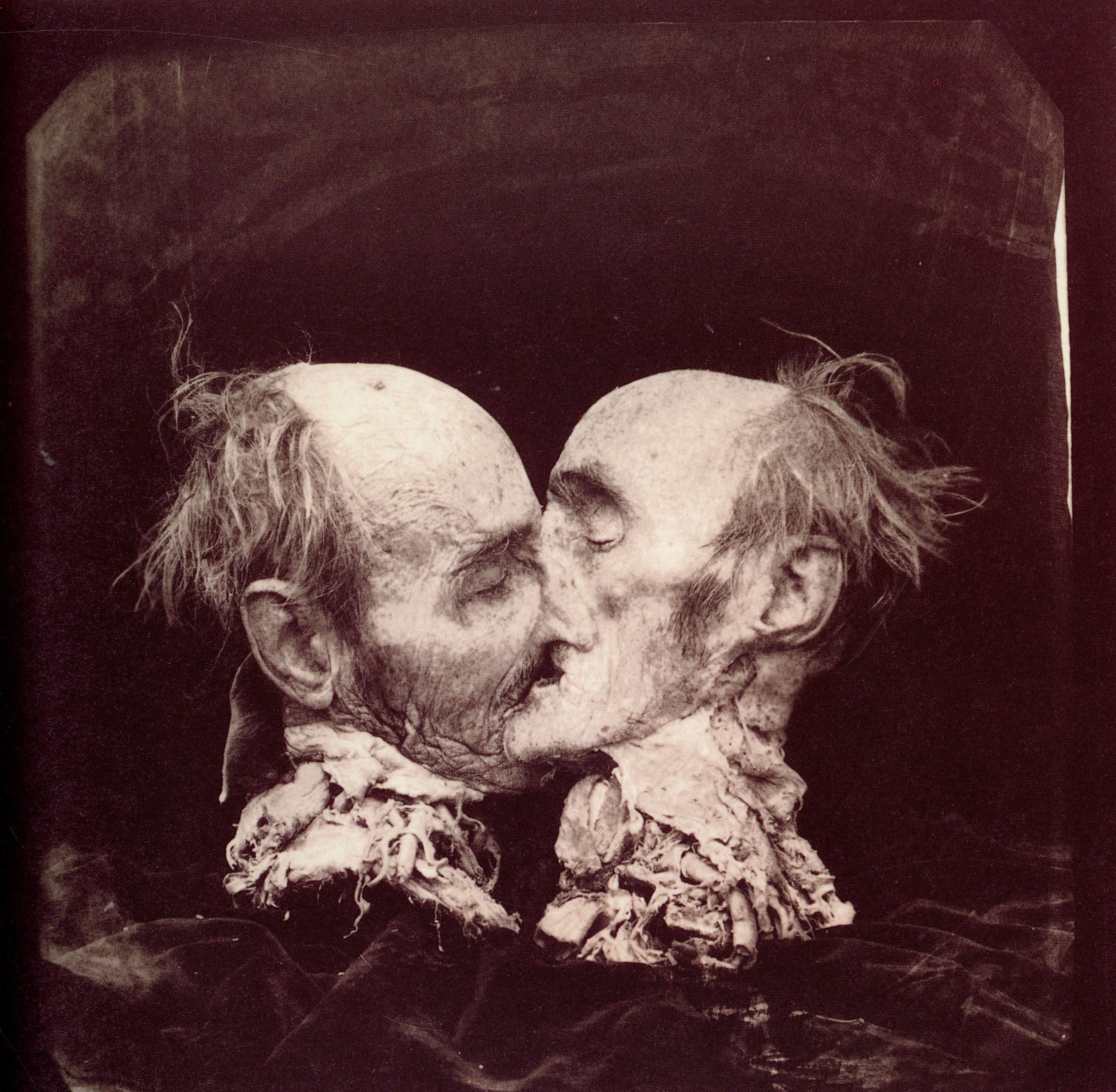 Joel Peter Witkin Twelvetrees Press 1989 interior detail.