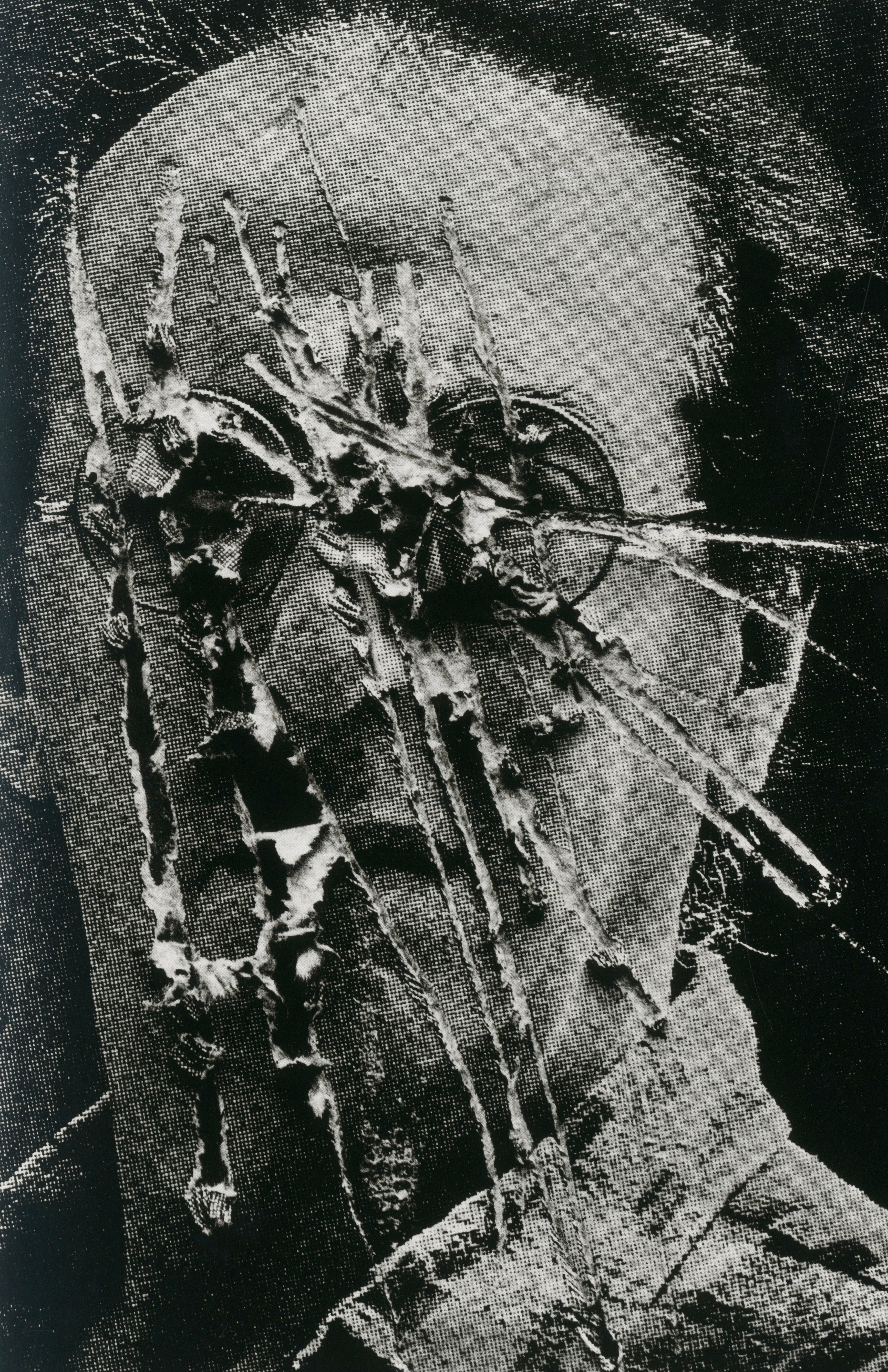 Black-and-white interior photograph from “Exiles,” highlighting Koudelka’s raw visual language of alienation and human presence.