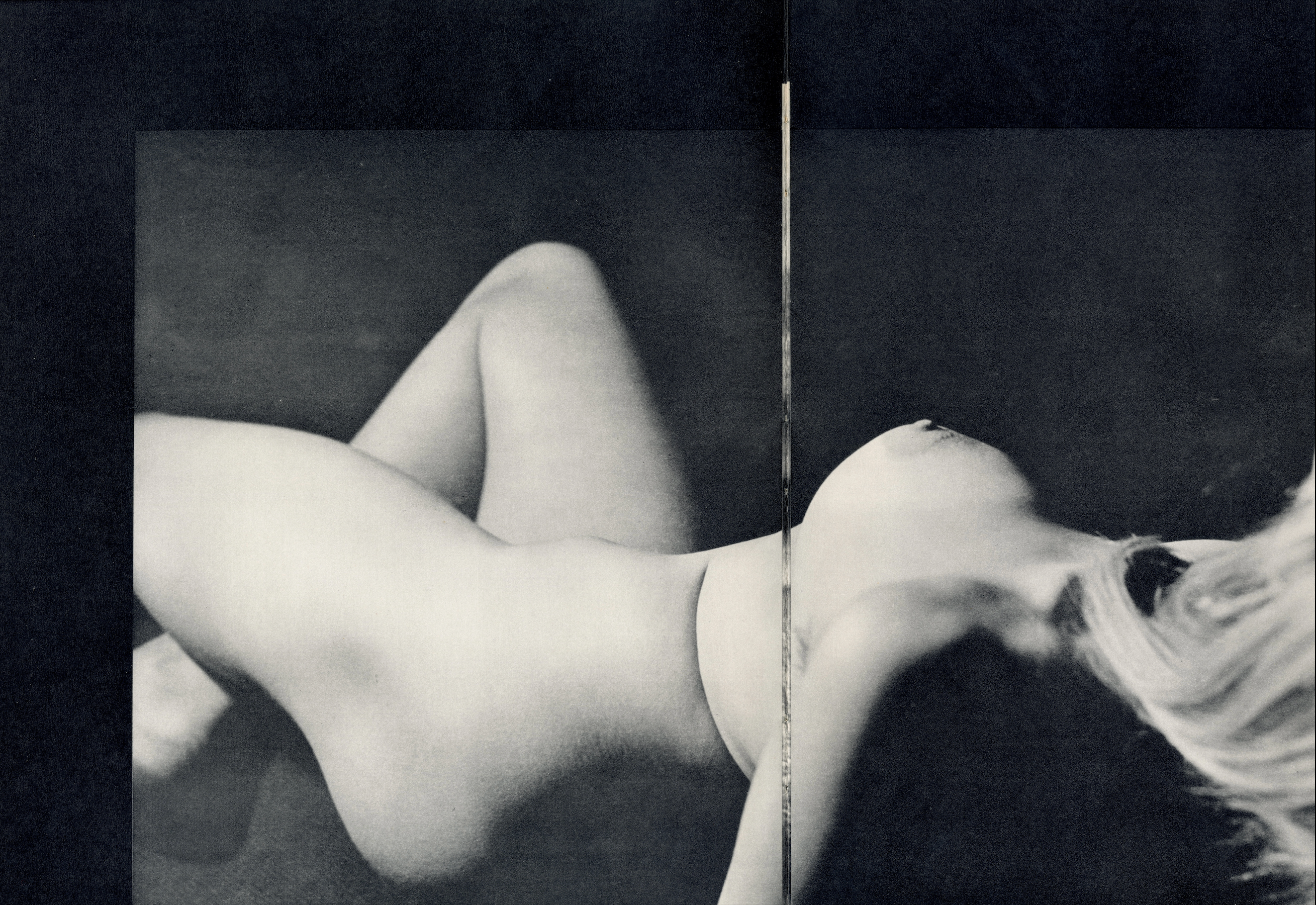 Interior image abstract female body close up photography.