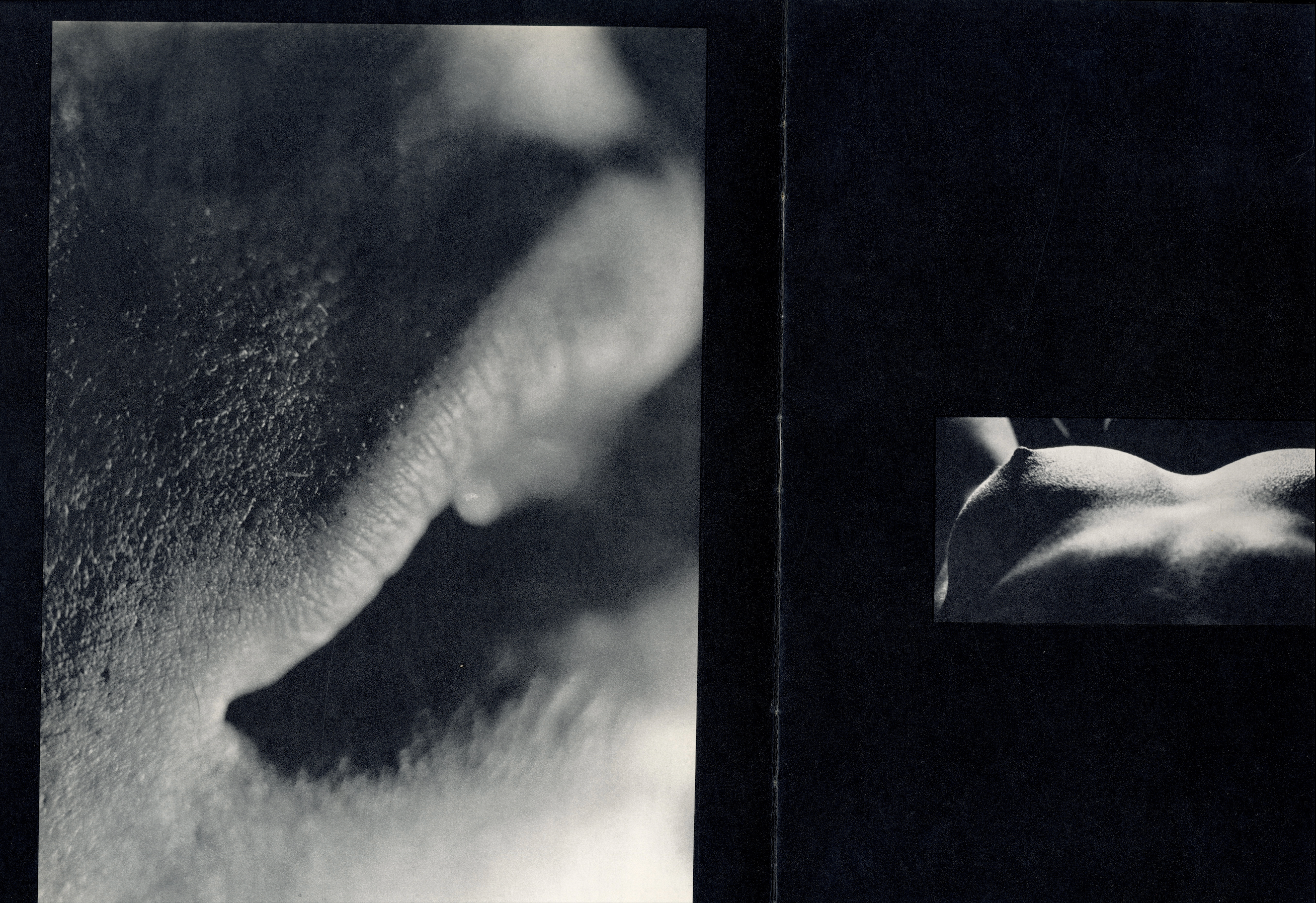 Interior spread Marc Attali fragmented body composition.