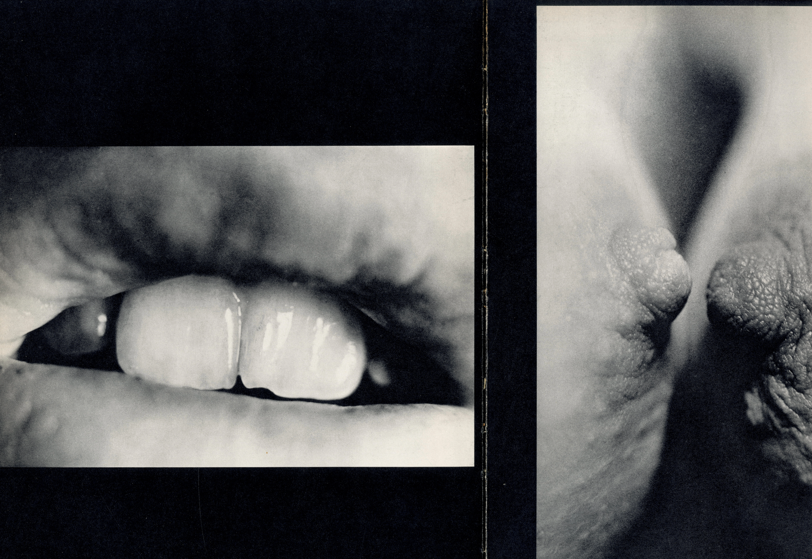 Interior image sensual abstract photography 1960s.