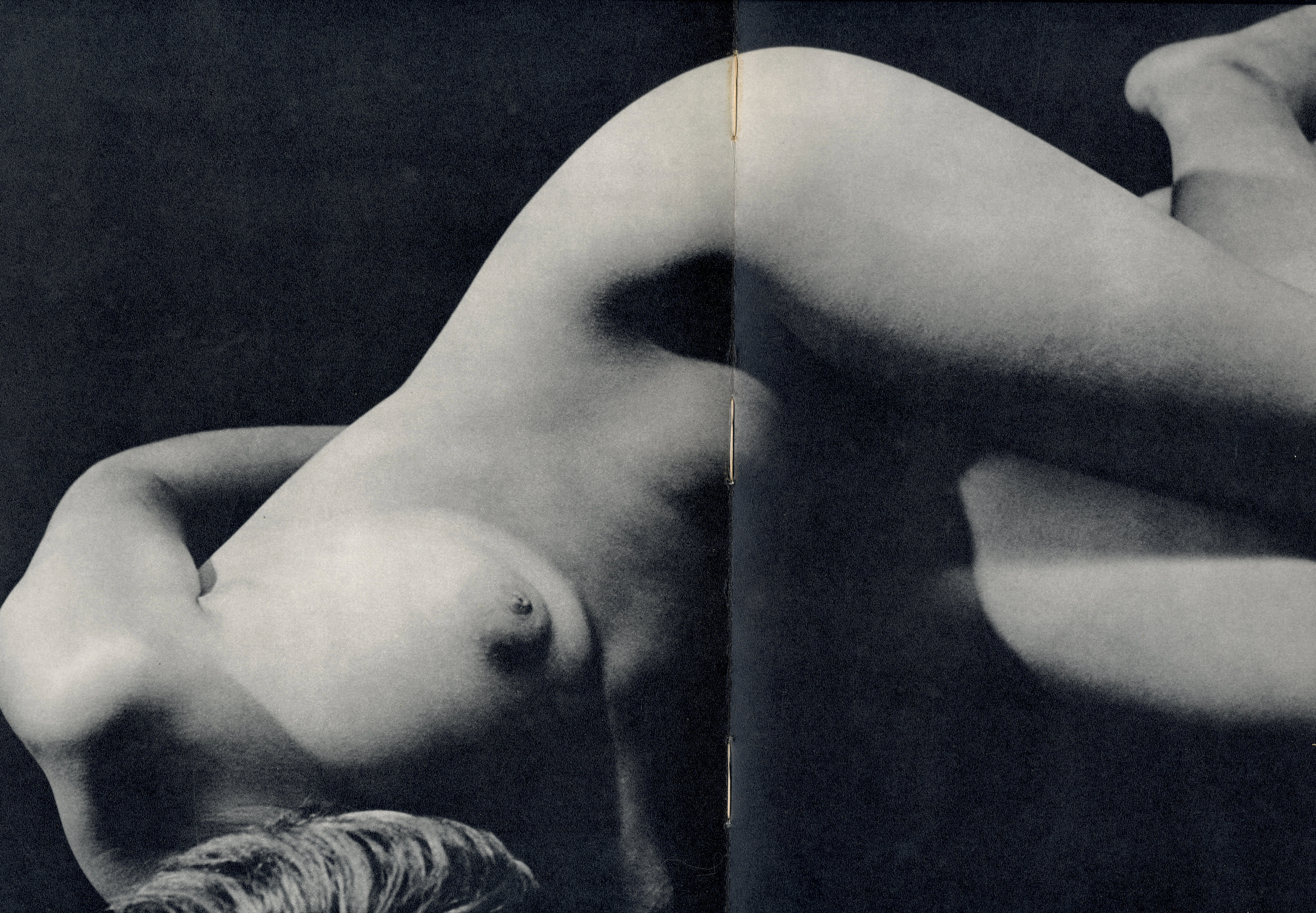 Interior layout Forme de toi large format book.