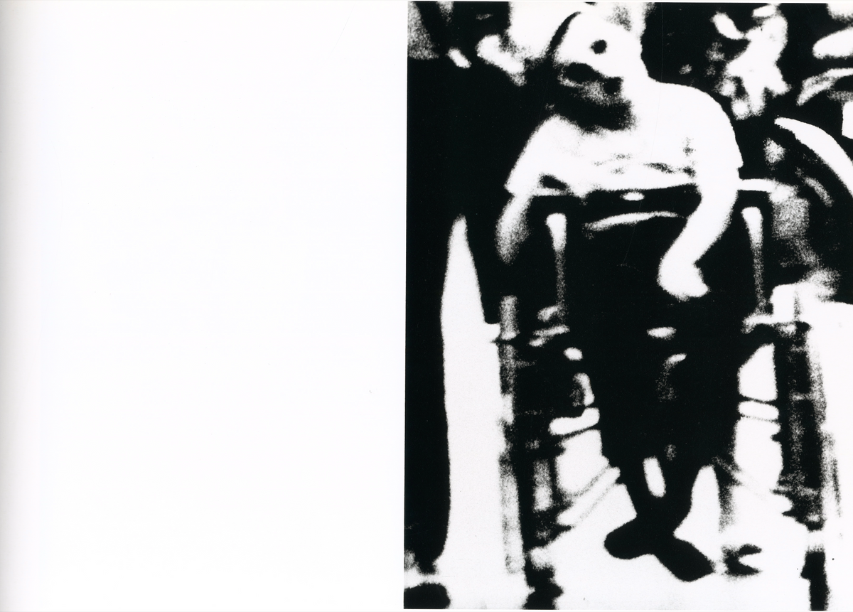 Mario Giacomelli interior landscape field hare nature high contrast photography interior 3 intermission books.