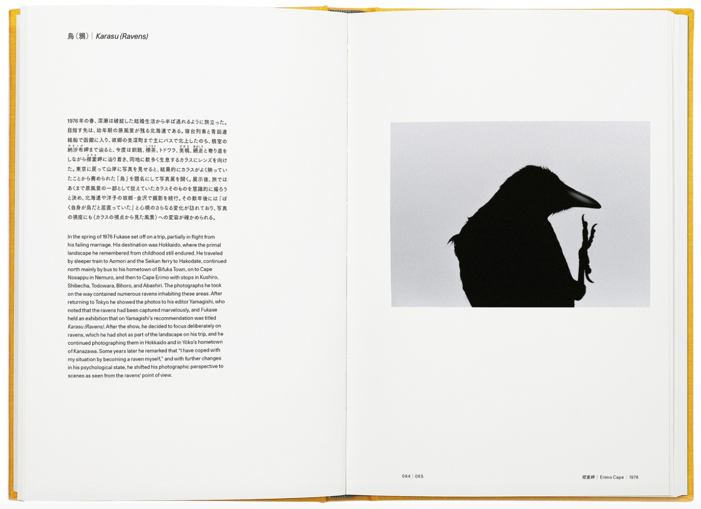 Masahisa Fukase's Karasu (Raven) series in the retrospective photobook