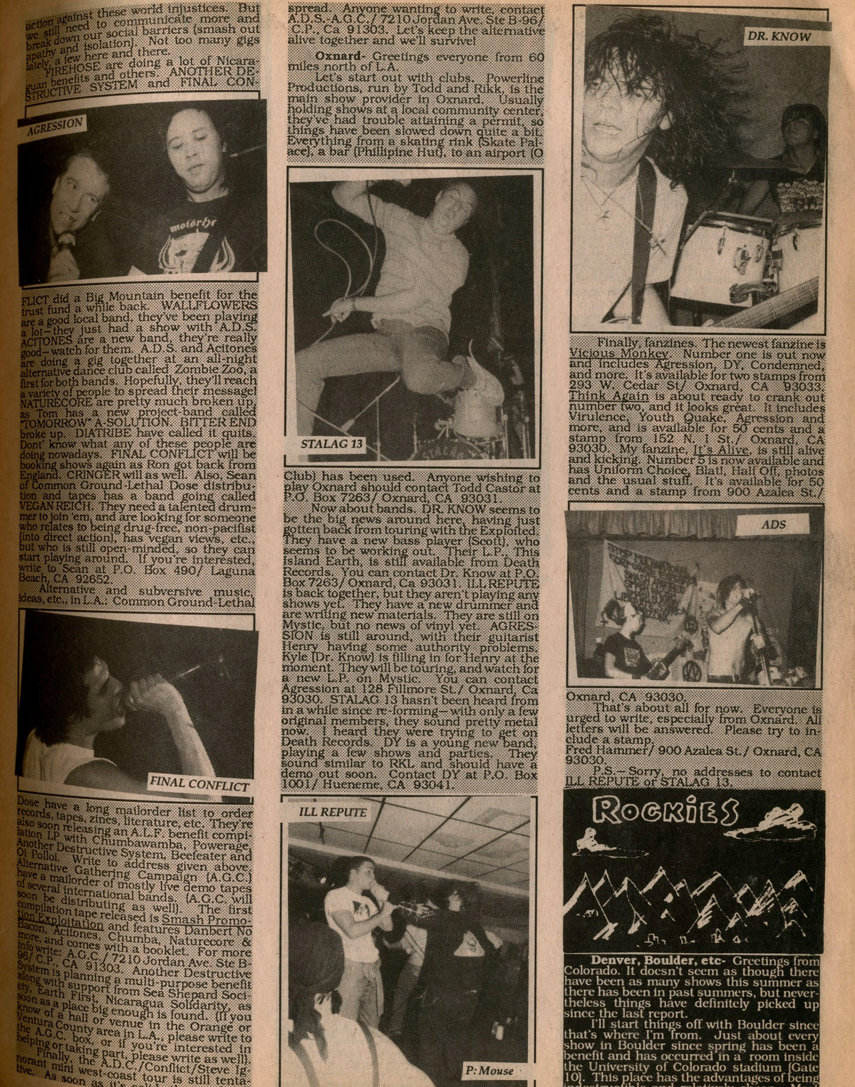 Live punk show photographs with interview text in Maximum Rocknroll No. 54, November 1987.