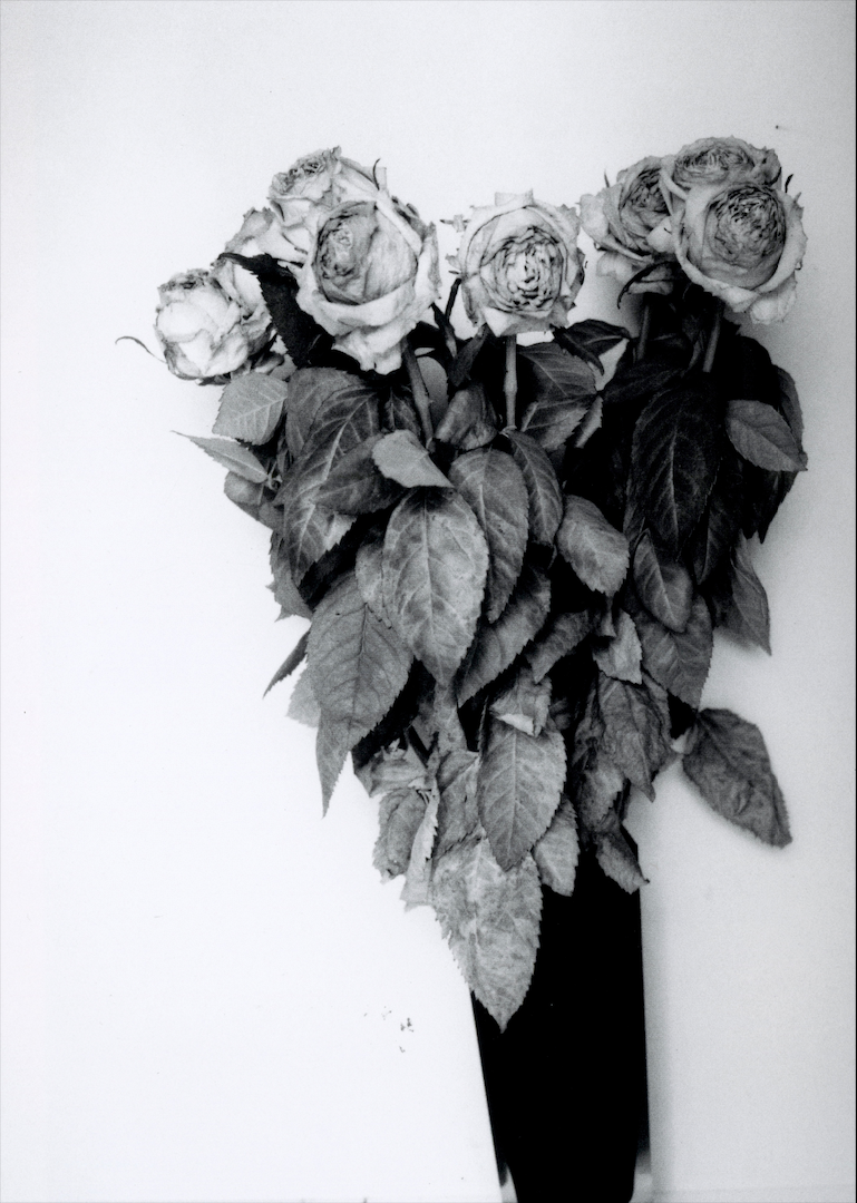 MORPHINE DOESN'T WORK IN MAY