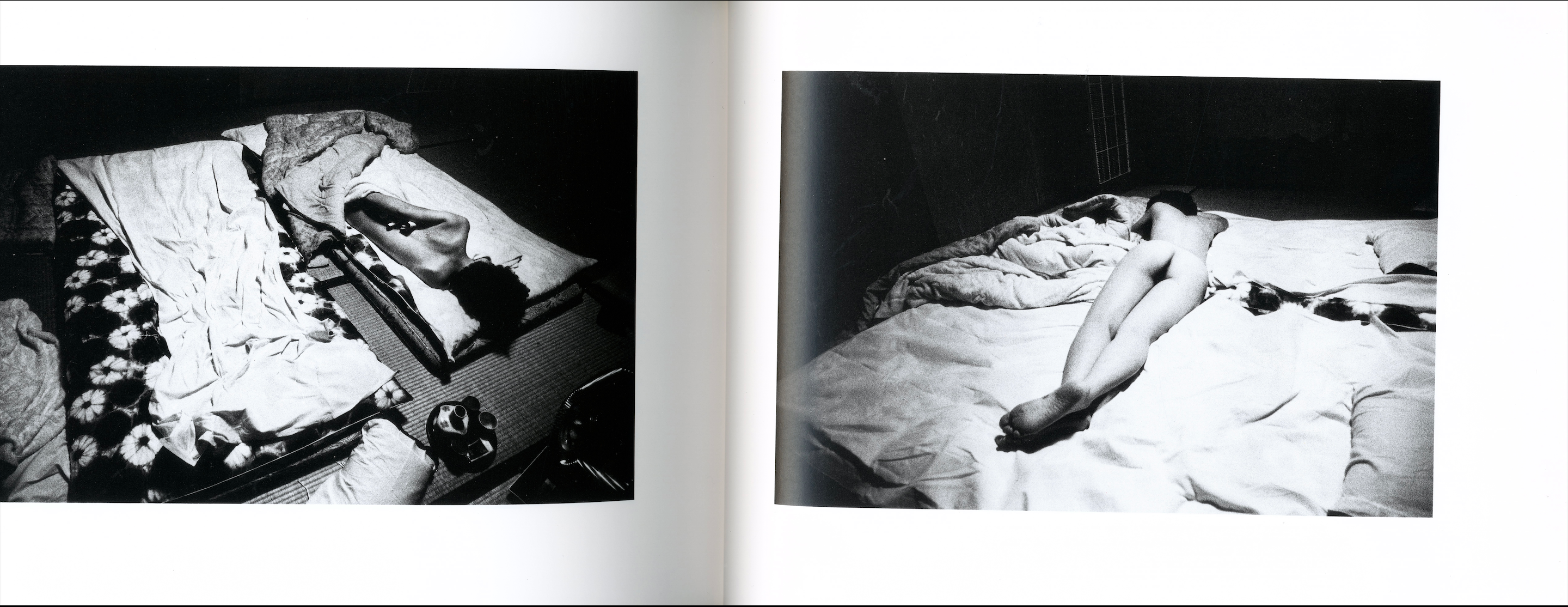 SENTIMENTAL NA TABI, FUYU NO TABI - SENTIMENTAL JOURNEY, WINTER JOURNEY