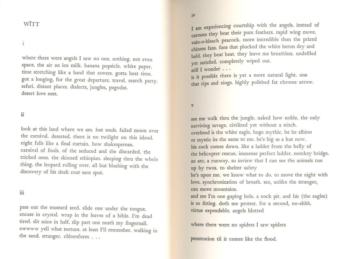 Page from Patti Smith's Witt with a prose poem set in numbered sections.