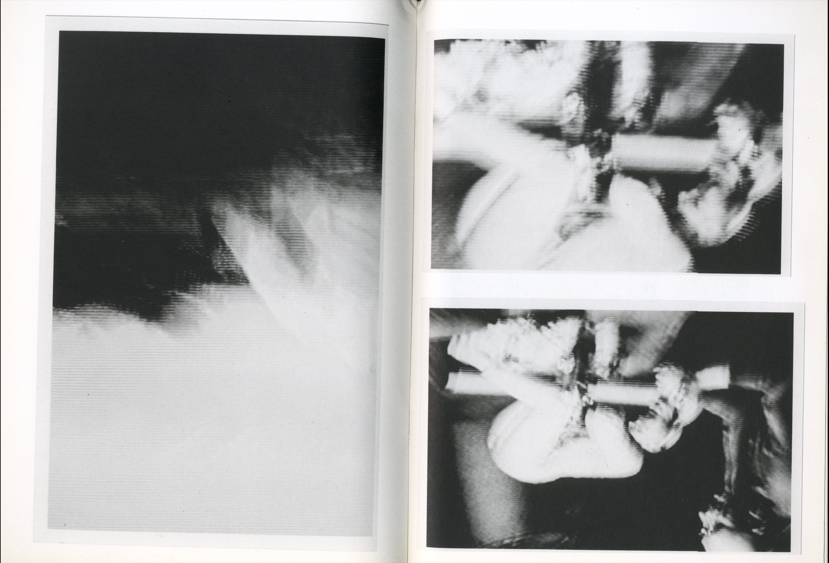 PIGXTRAS: THE HARMONY KORINE PURPLE BOOK