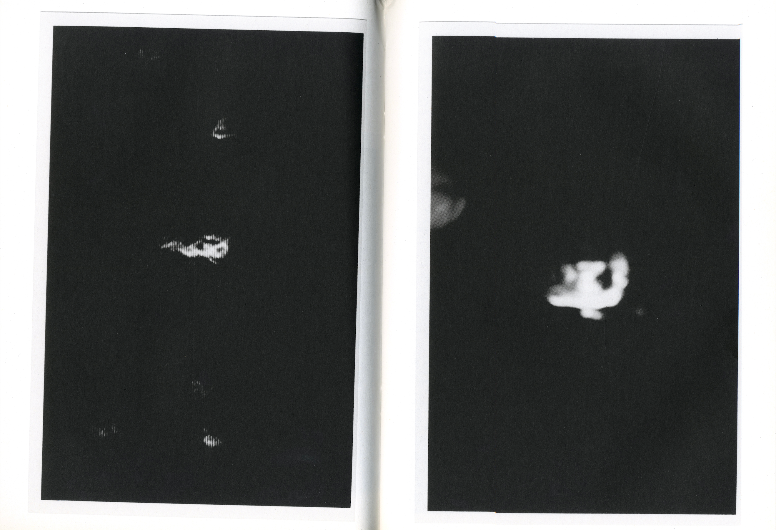 PIGXTRAS: THE HARMONY KORINE PURPLE BOOK