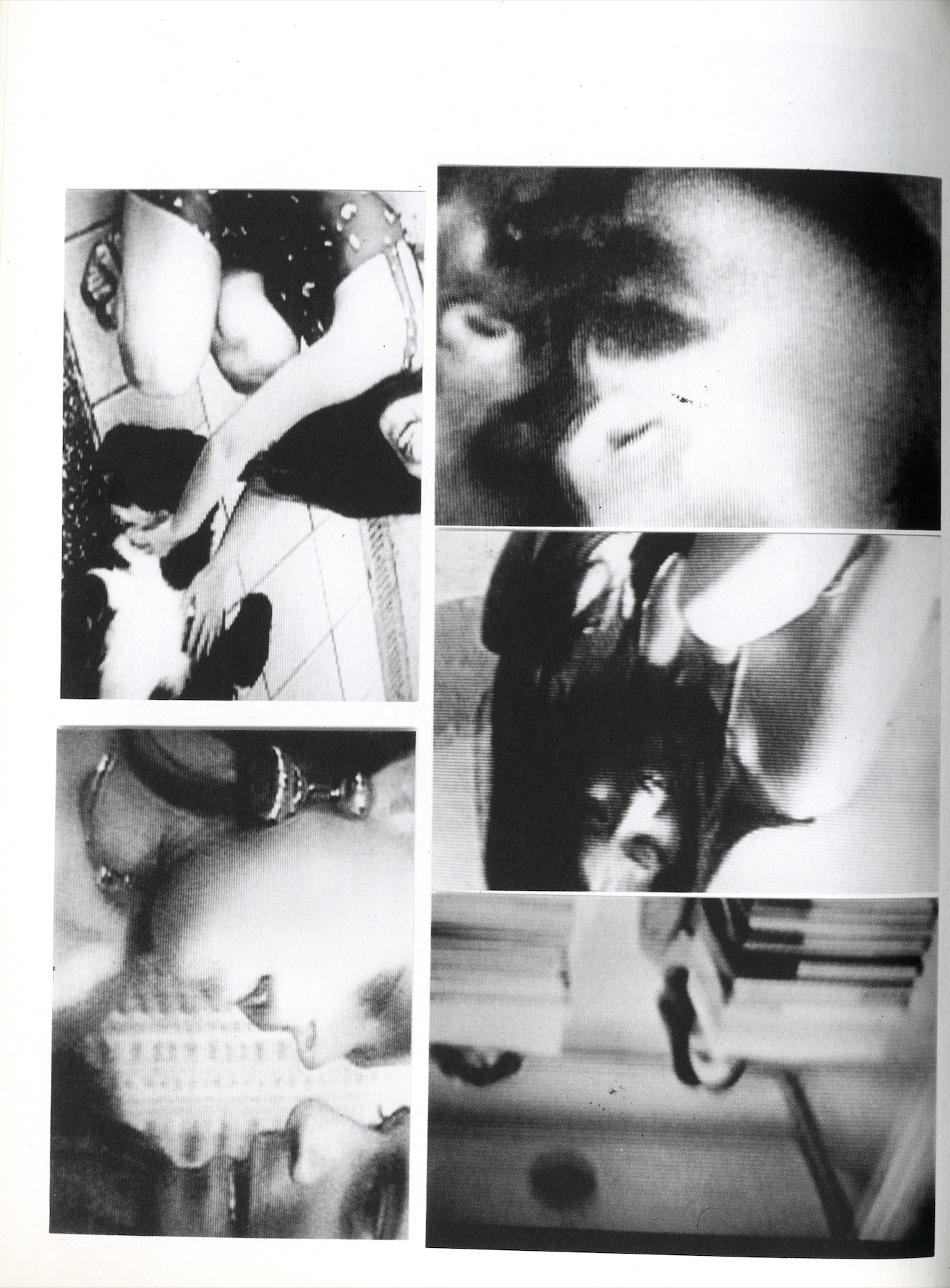 PIGXTRAS: THE HARMONY KORINE PURPLE BOOK