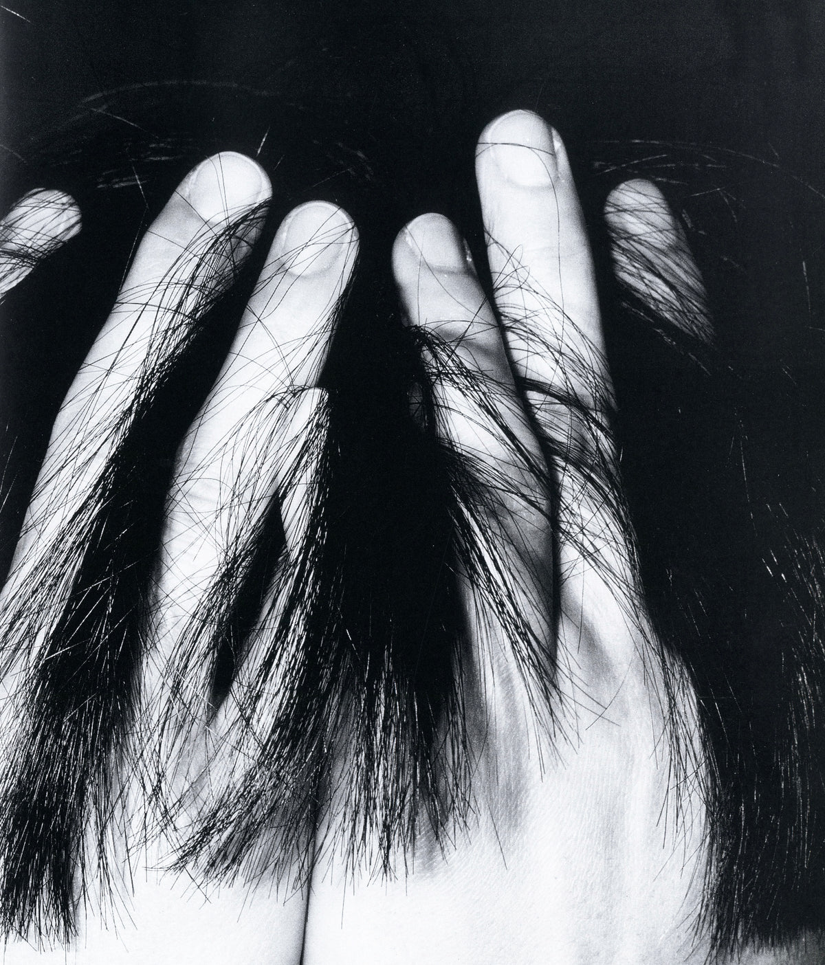 La Recherche Photographique No 9 interior hands hair intimate detail black and white Japanese photography interior 2 intermission books.