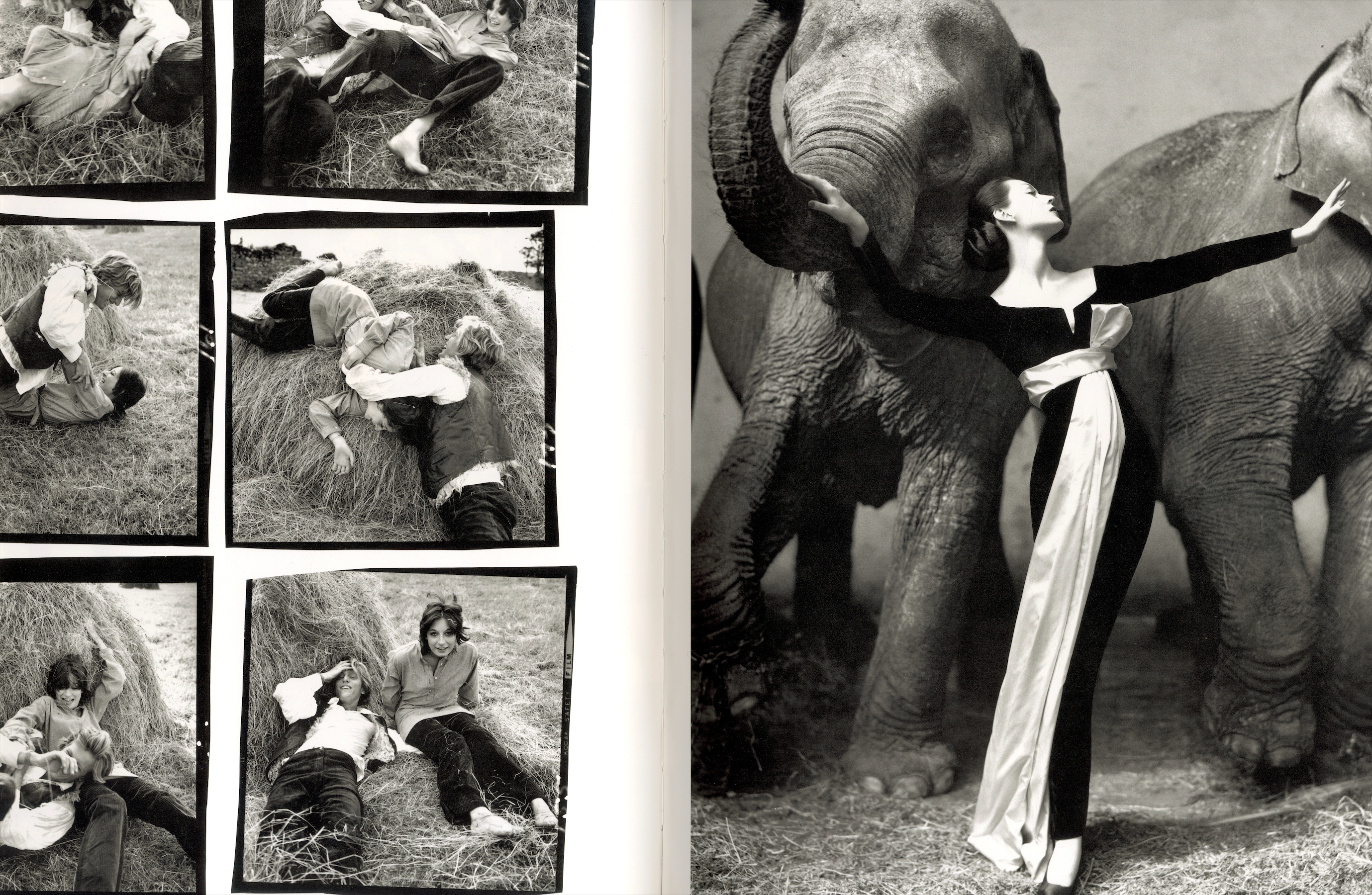 Interior image Avedon documentary series Vietnam 1971.