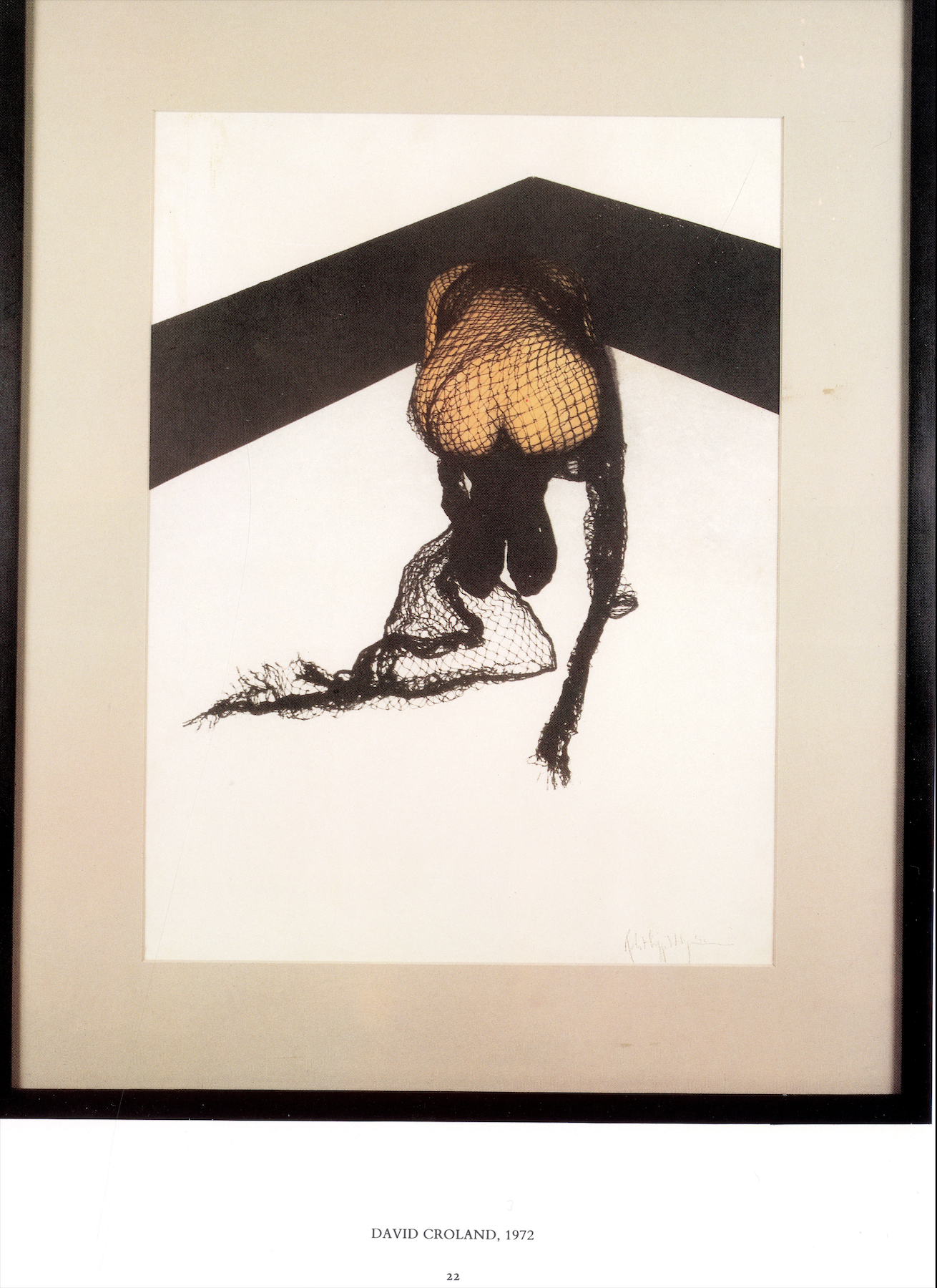 Robert Mapplethorpe flower photograph interior page 2.