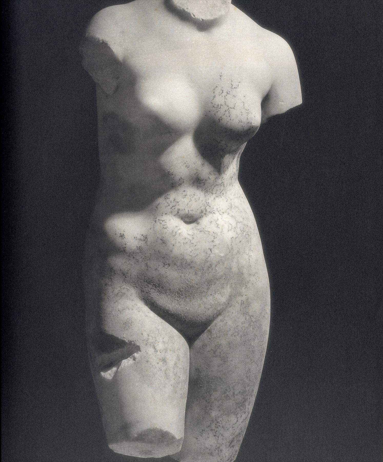 Interior composition Mapplethorpe sculptural portrait photography.