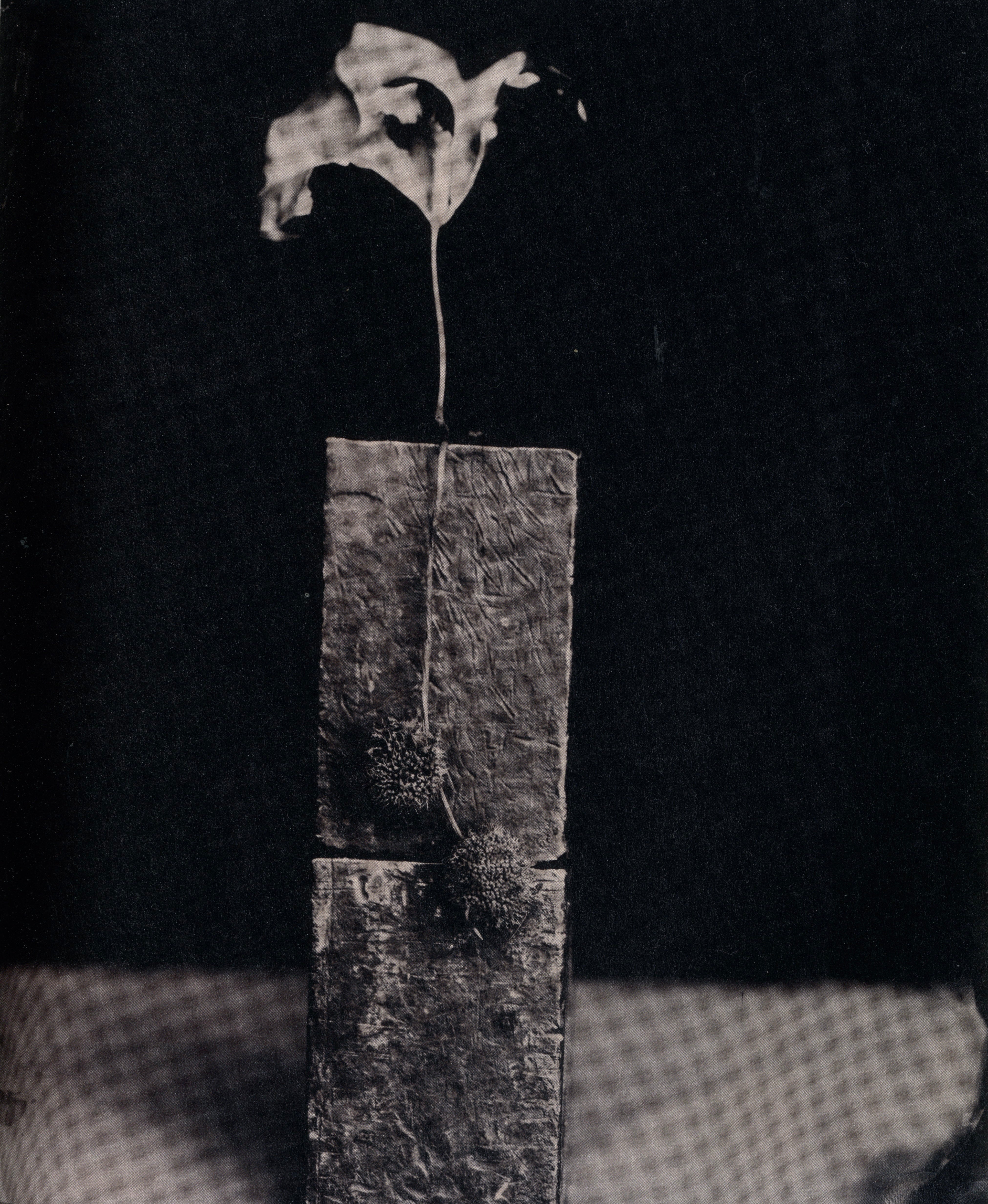 ROBERT MAXWELL: PHOTOGRAPHS