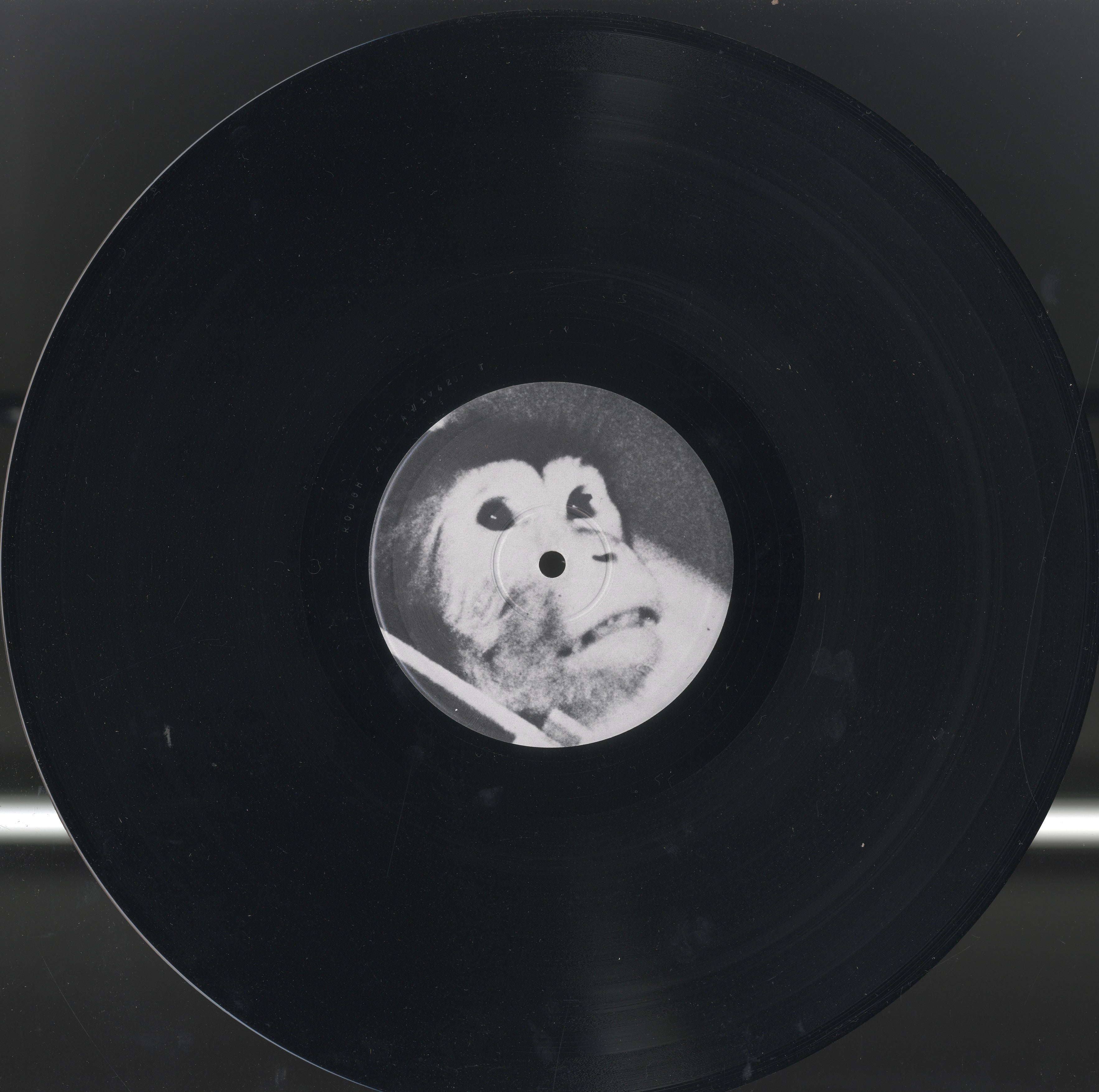 Close-up of Side A and Side B labels of Robert Wyatt’s The Animals Film vinyl LP, Rough Trade / Base Records ROUGH 40, Italy 1982.