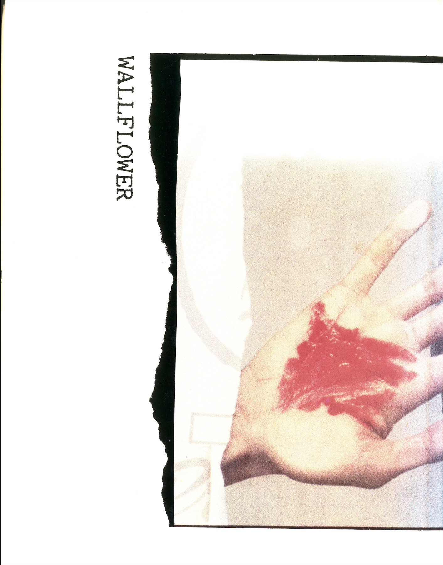 wallflower-deborah-turbeville- wallflower-deborah-turbeville-