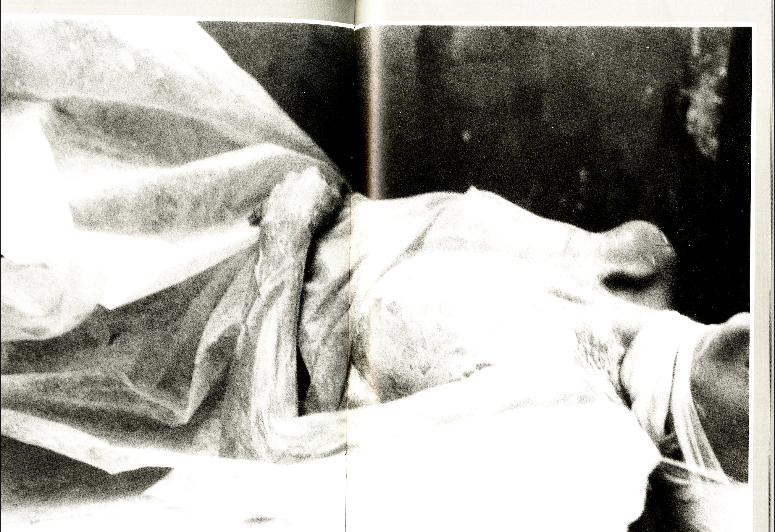 Double-page spread from Deborah Turbeville’s Wallflower, highlighting her innovative use of texture, shadow, and distressed imagery to create a dark, poetic visual narrative.