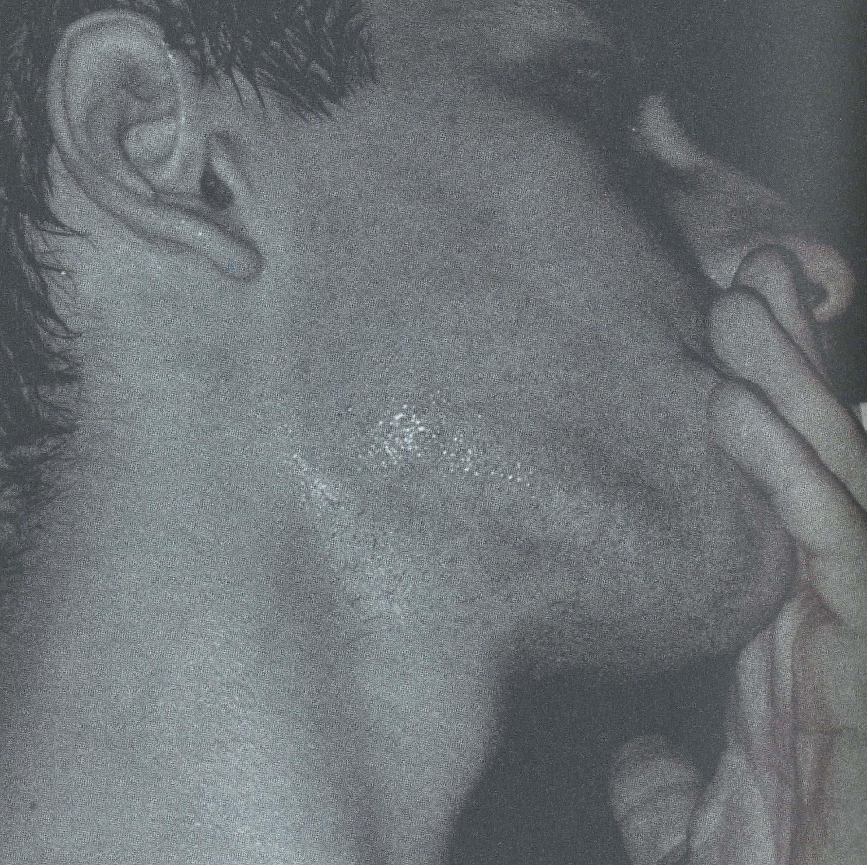Interior photograph by Wolfgang Tillmans featuring portrait work and experimental visual arrangements.