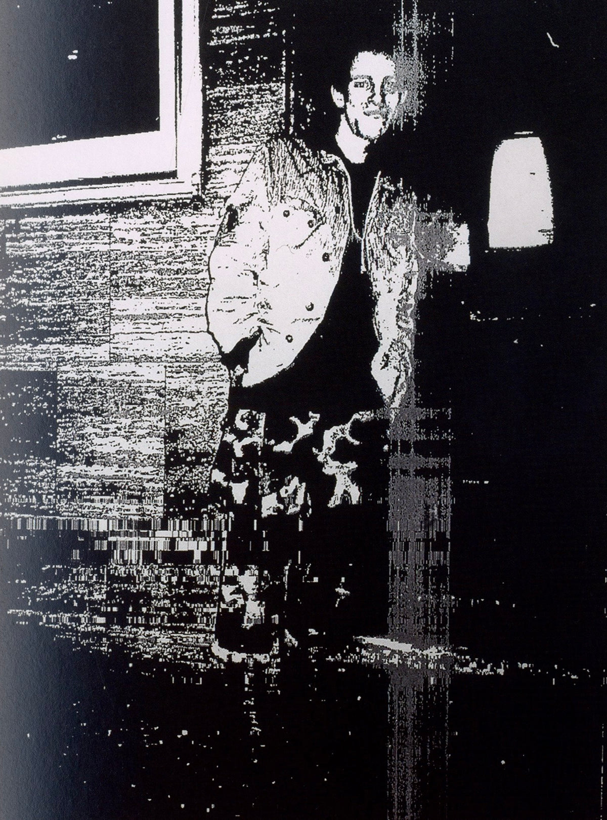Room with two large color photographs on the wall beside a window, installation view in Wolfgang Tillmans: Lighter.